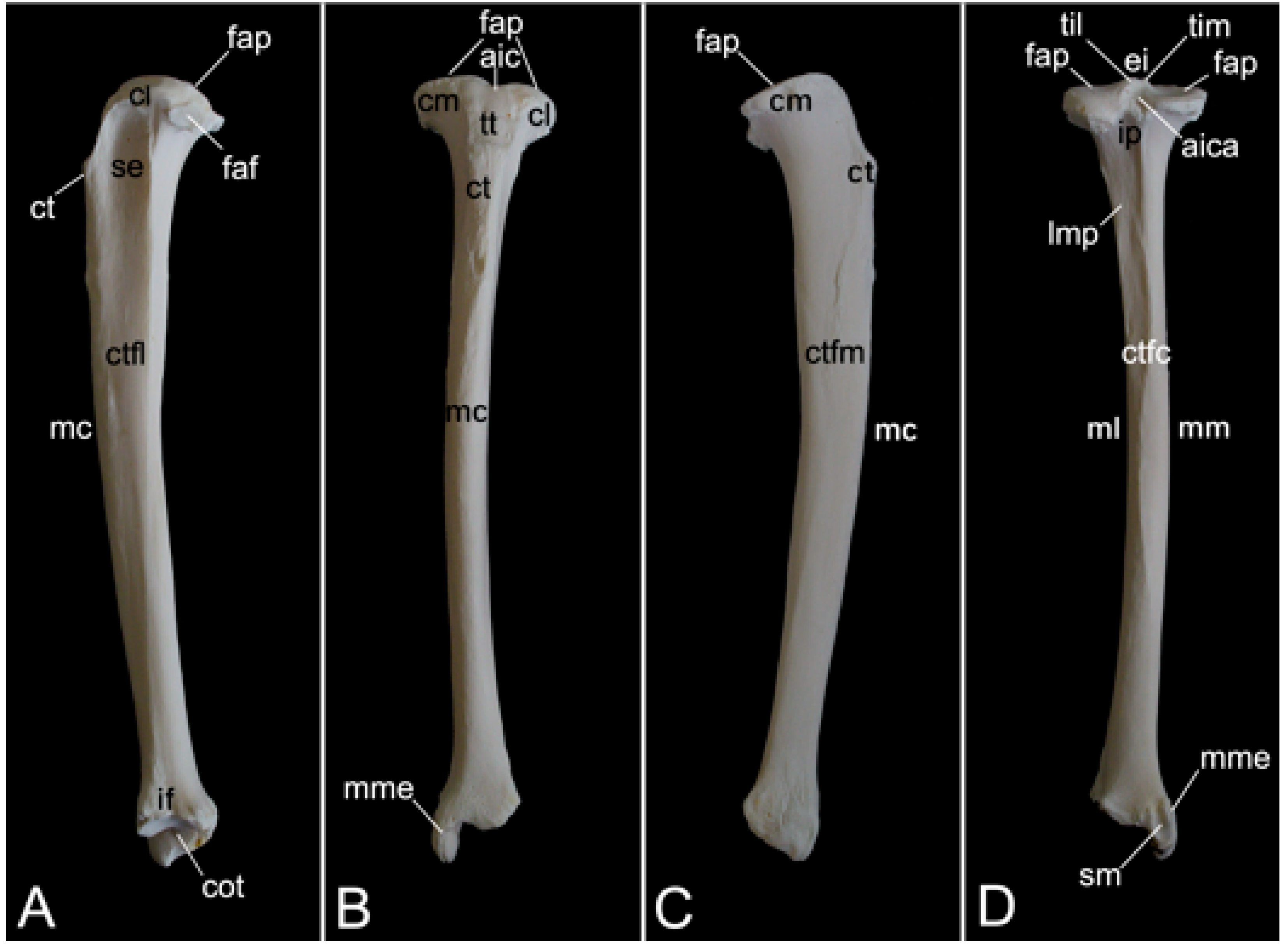 Preprints 84827 g027