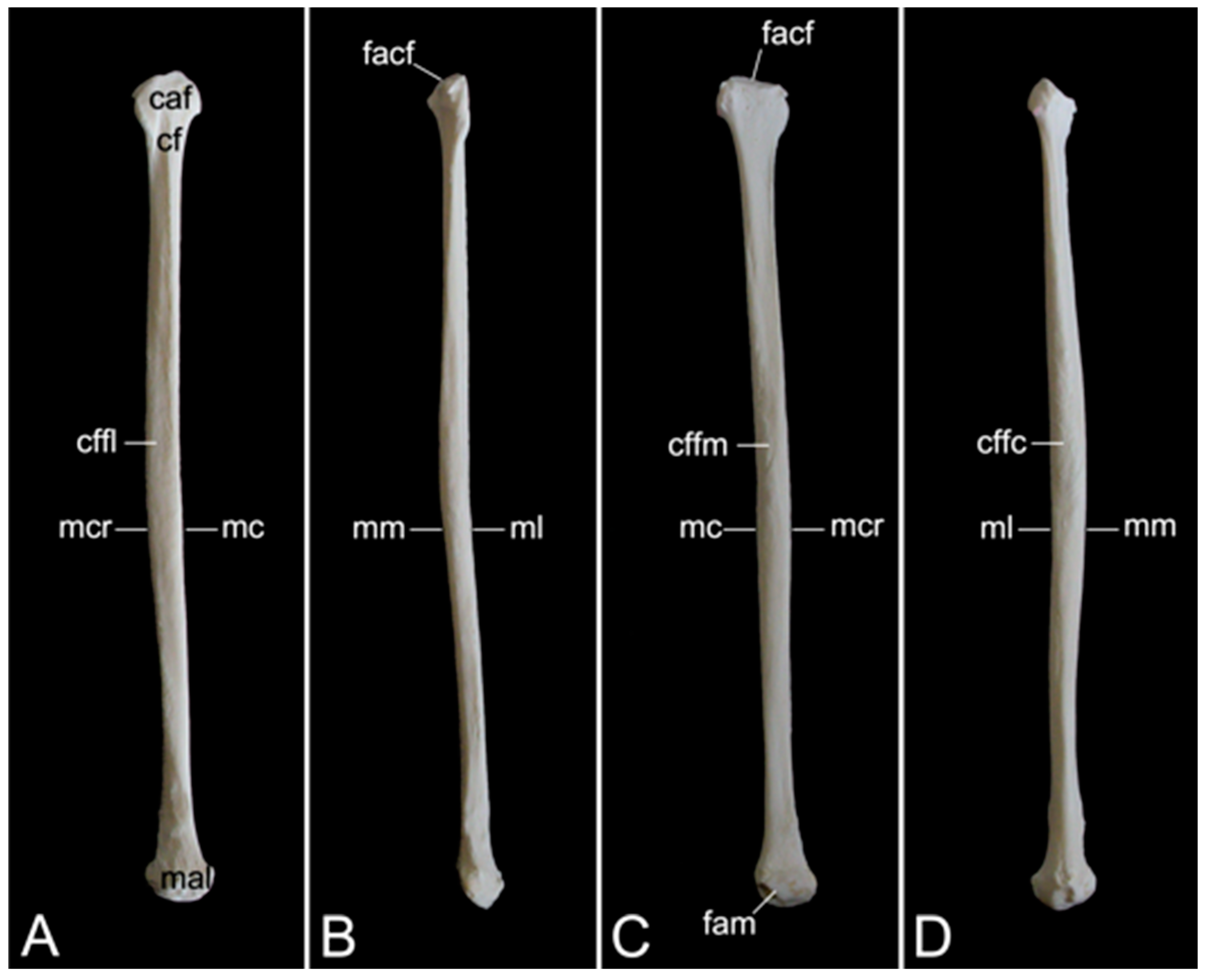 Preprints 84827 g028