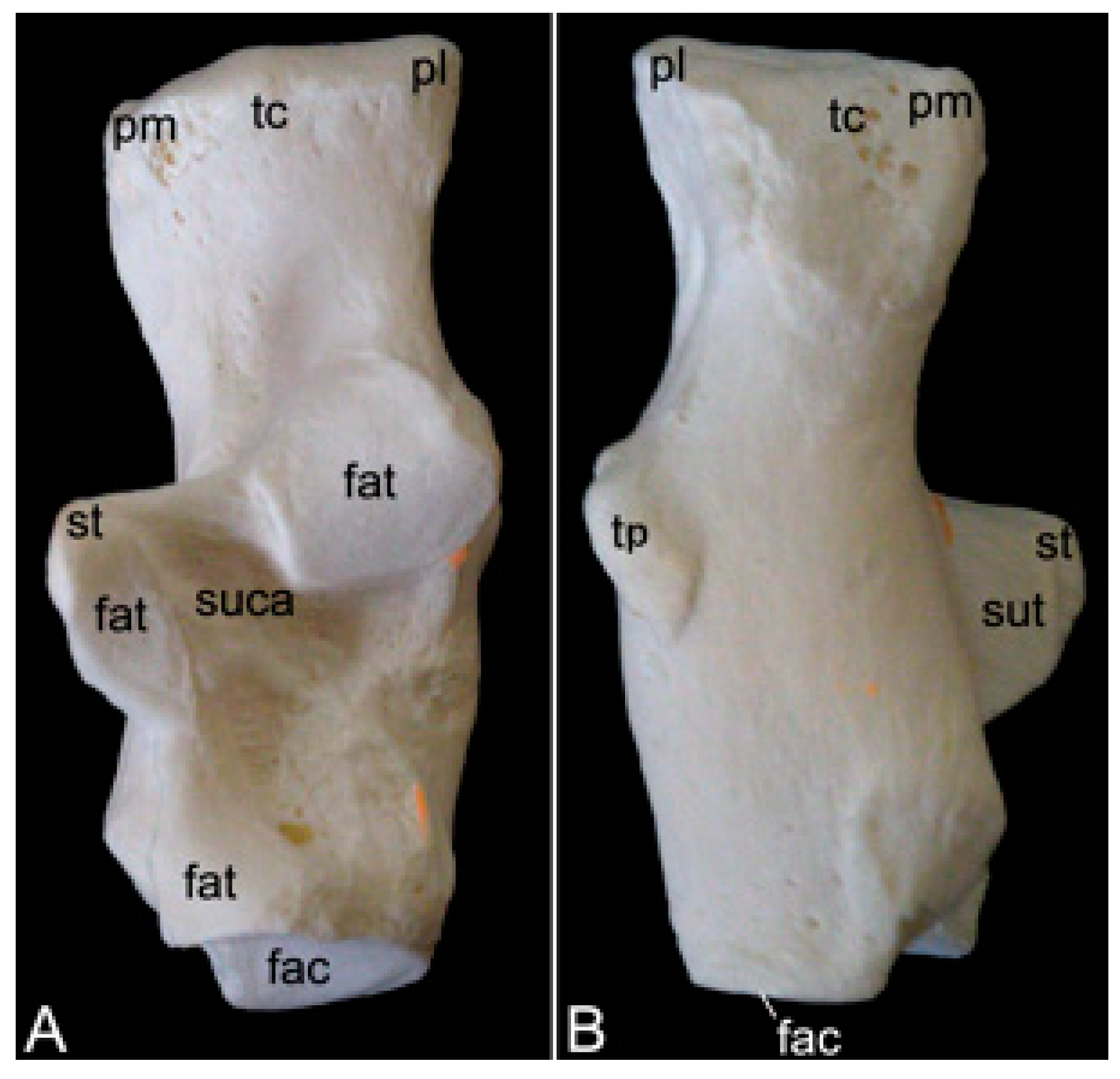 Preprints 84827 g030