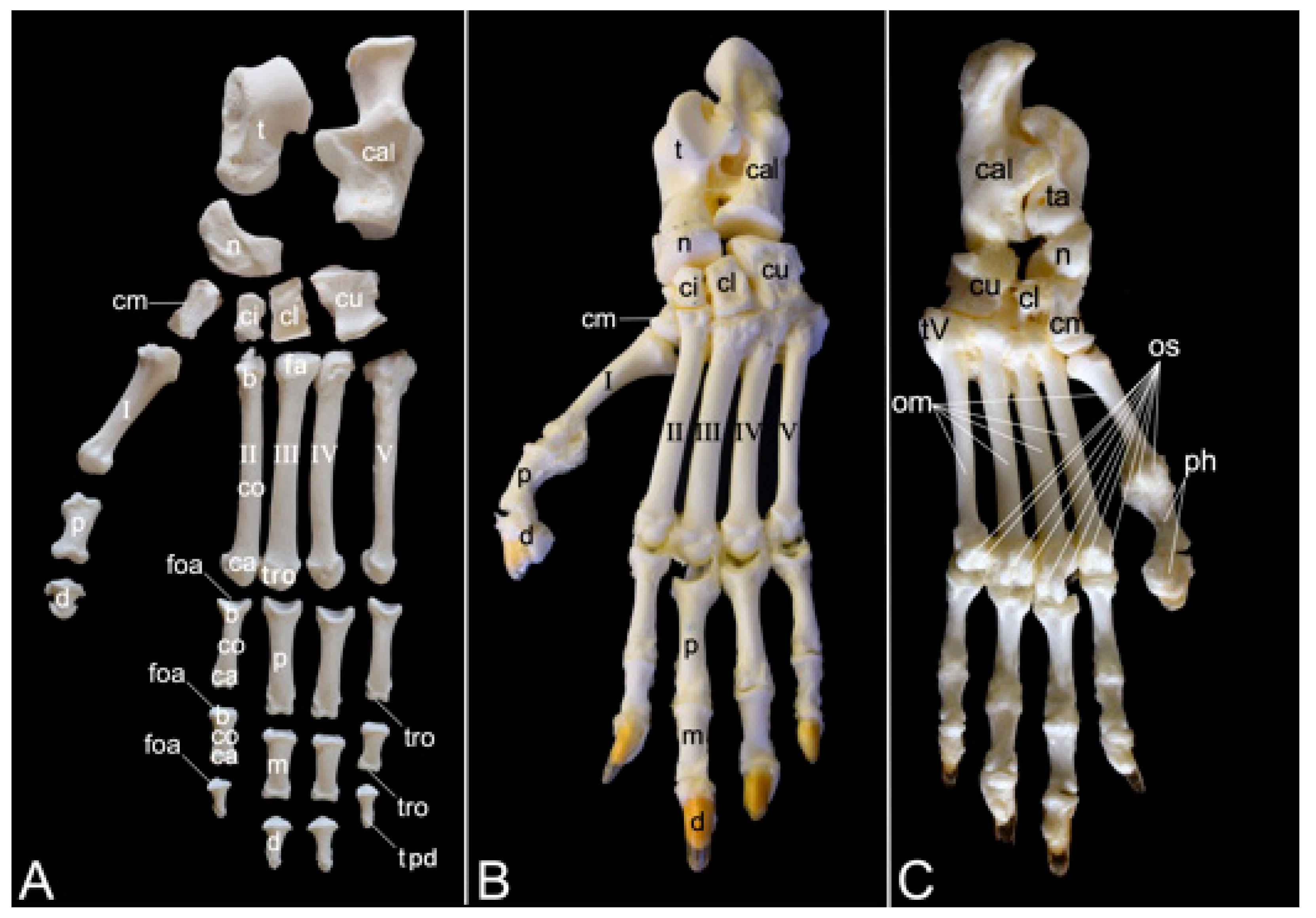 Preprints 84827 g031