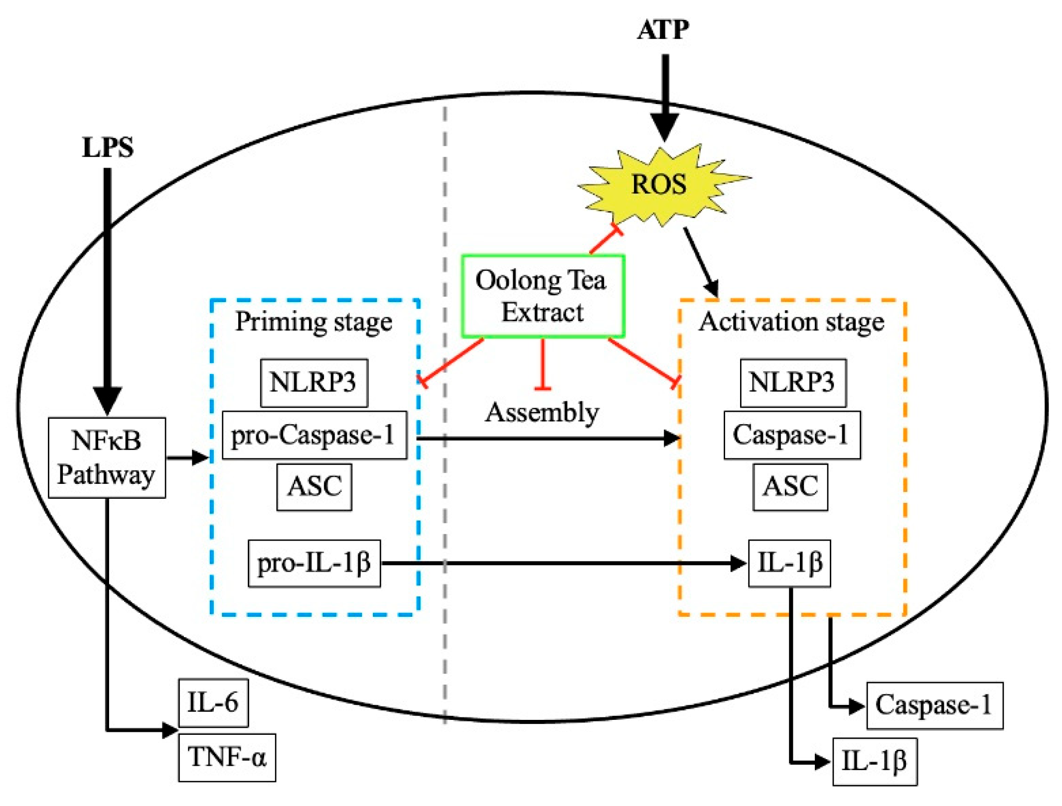 Preprints 165092 g001
