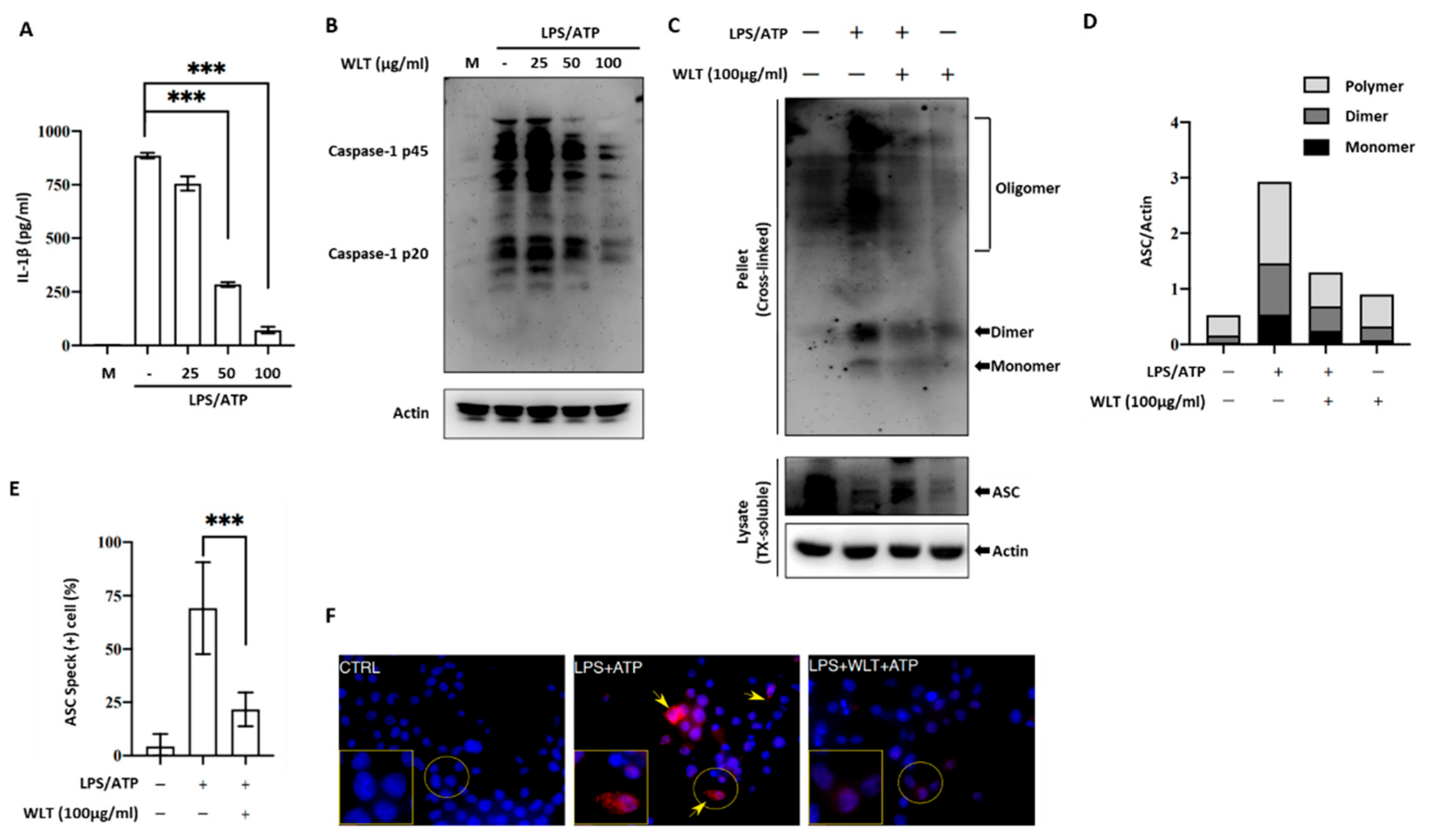 Preprints 165092 g003