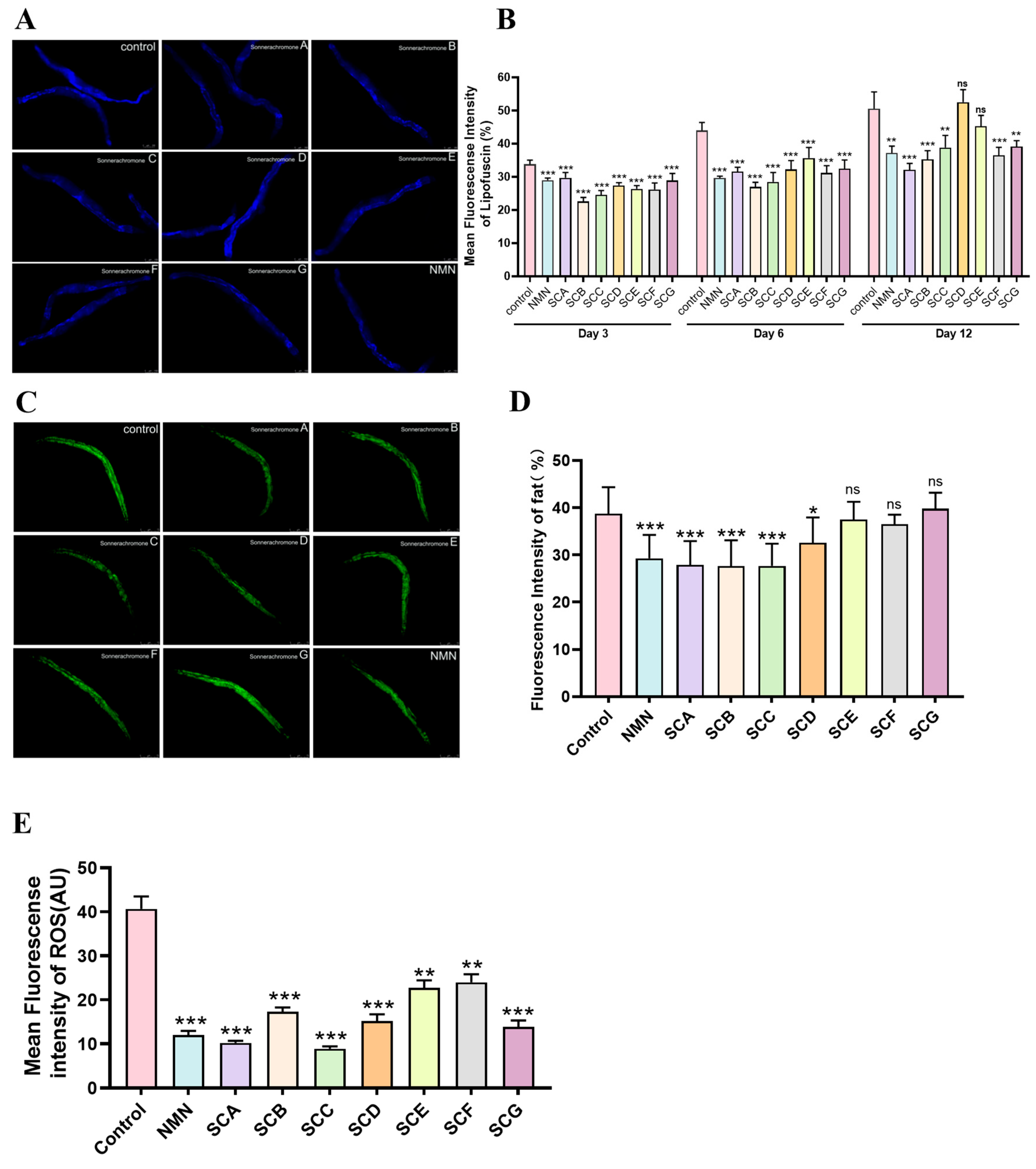 Preprints 235326 g002