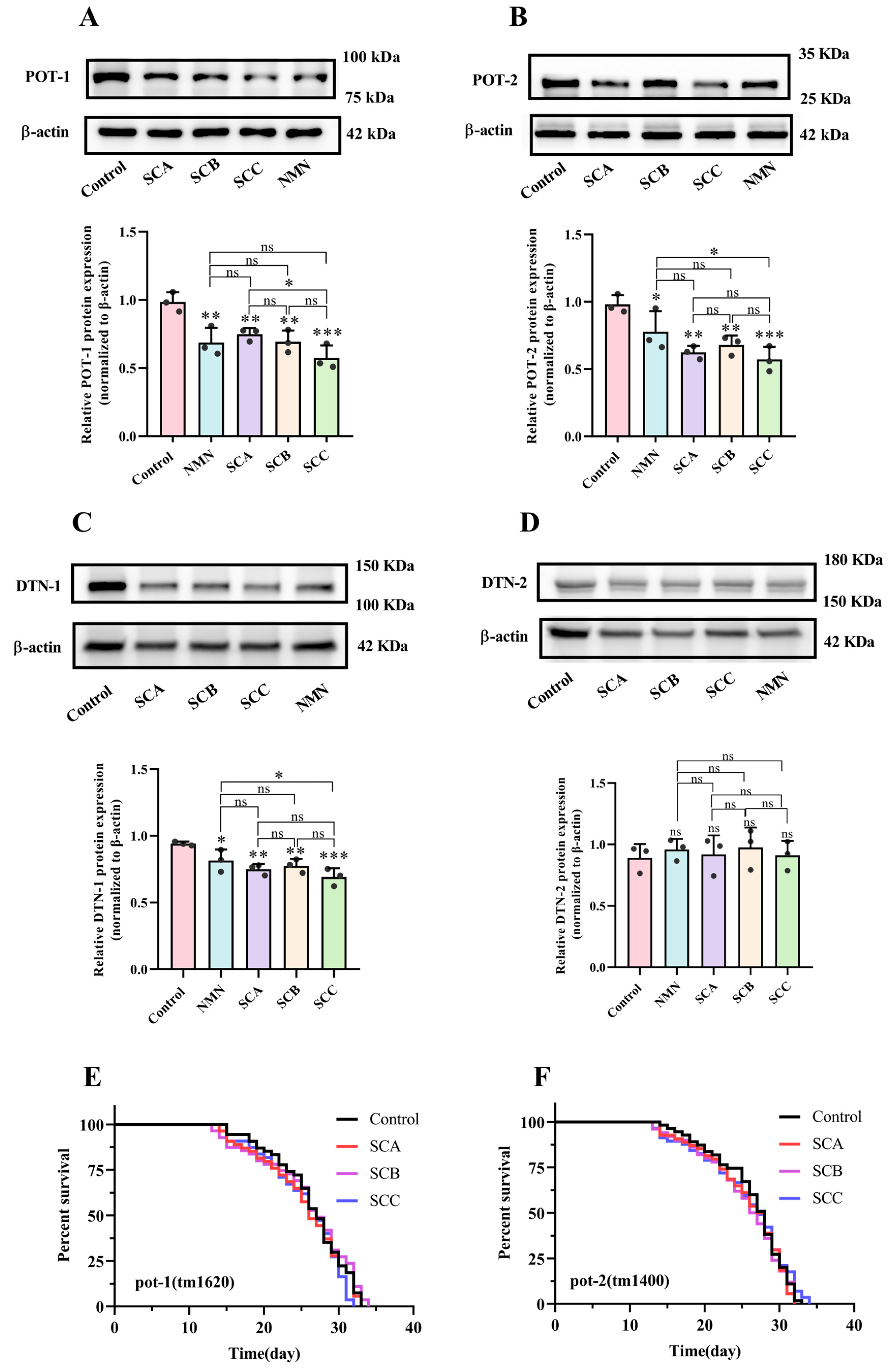 Preprints 235326 g004
