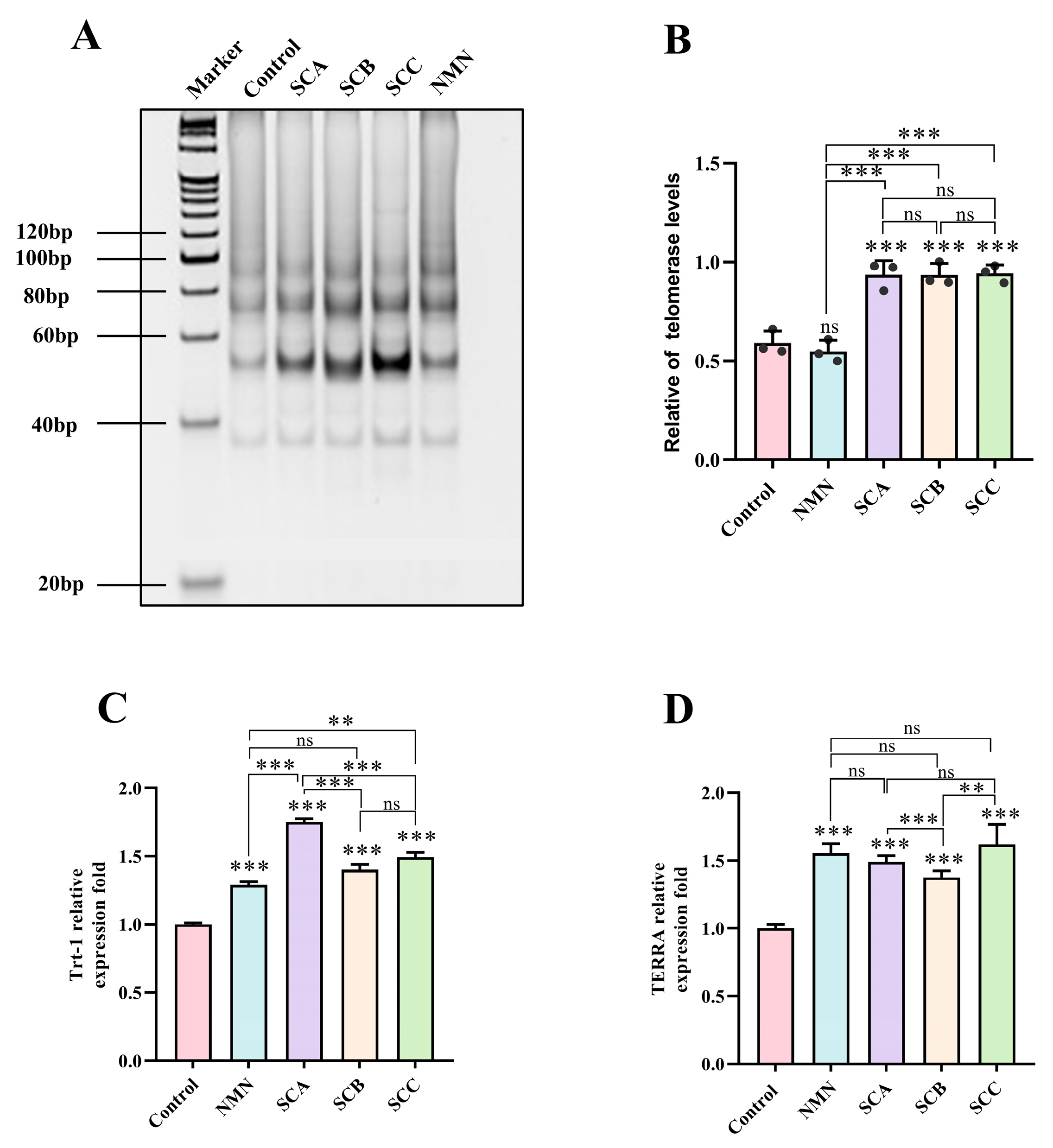 Preprints 235326 g005