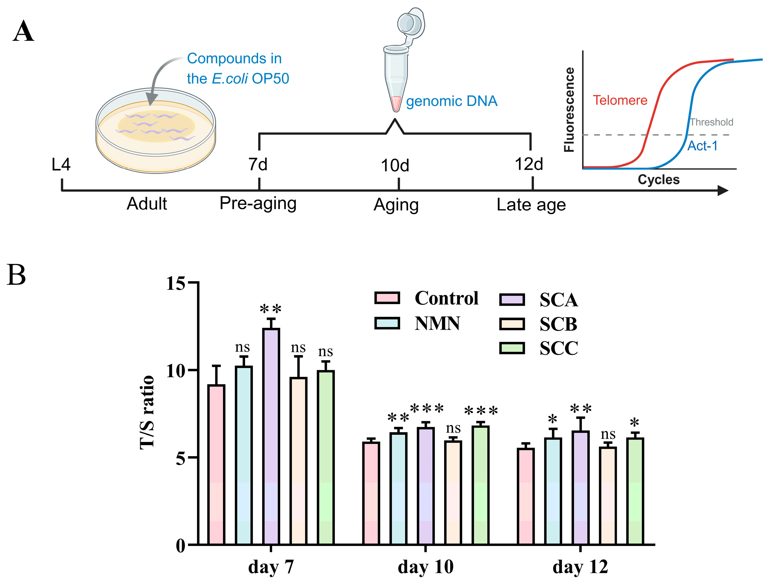 Preprints 235326 g006