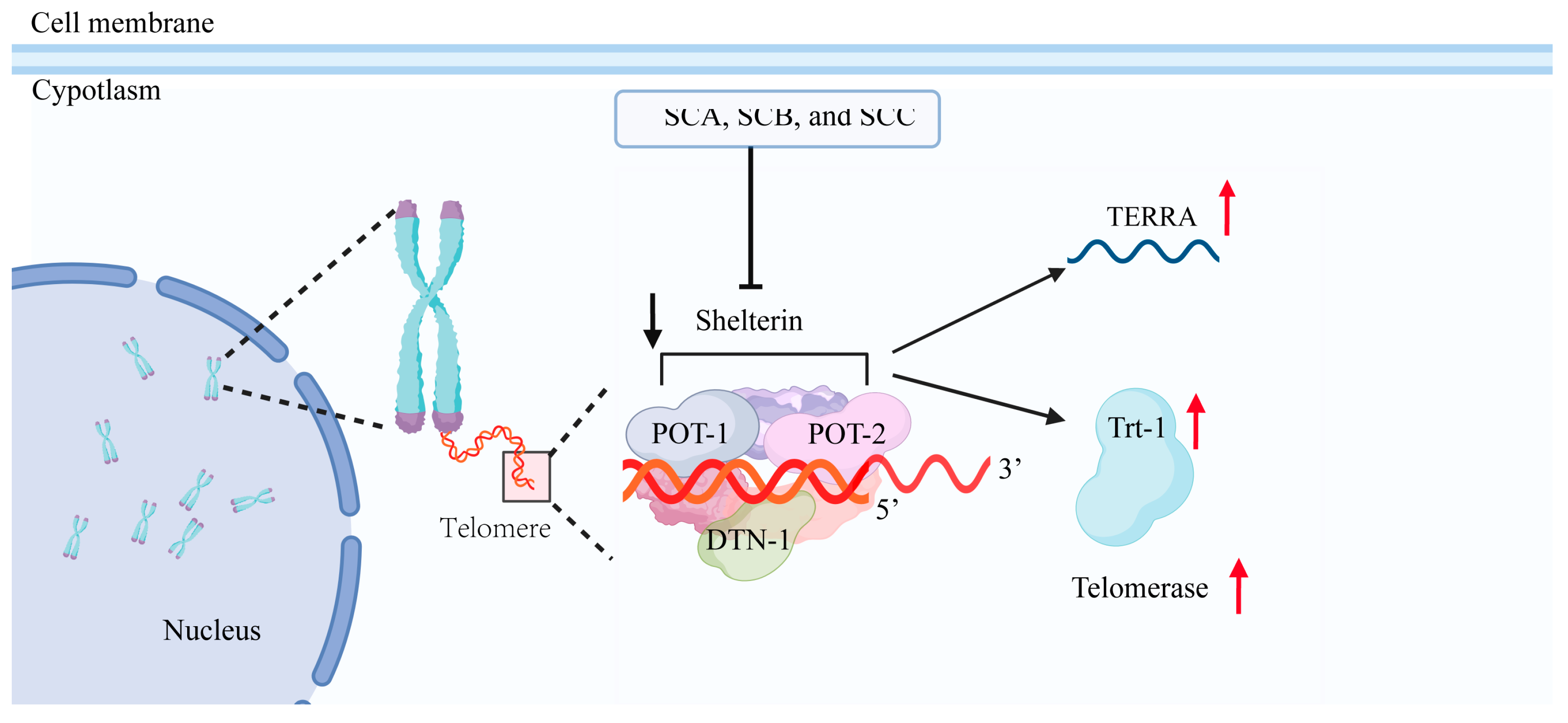 Preprints 235326 g007