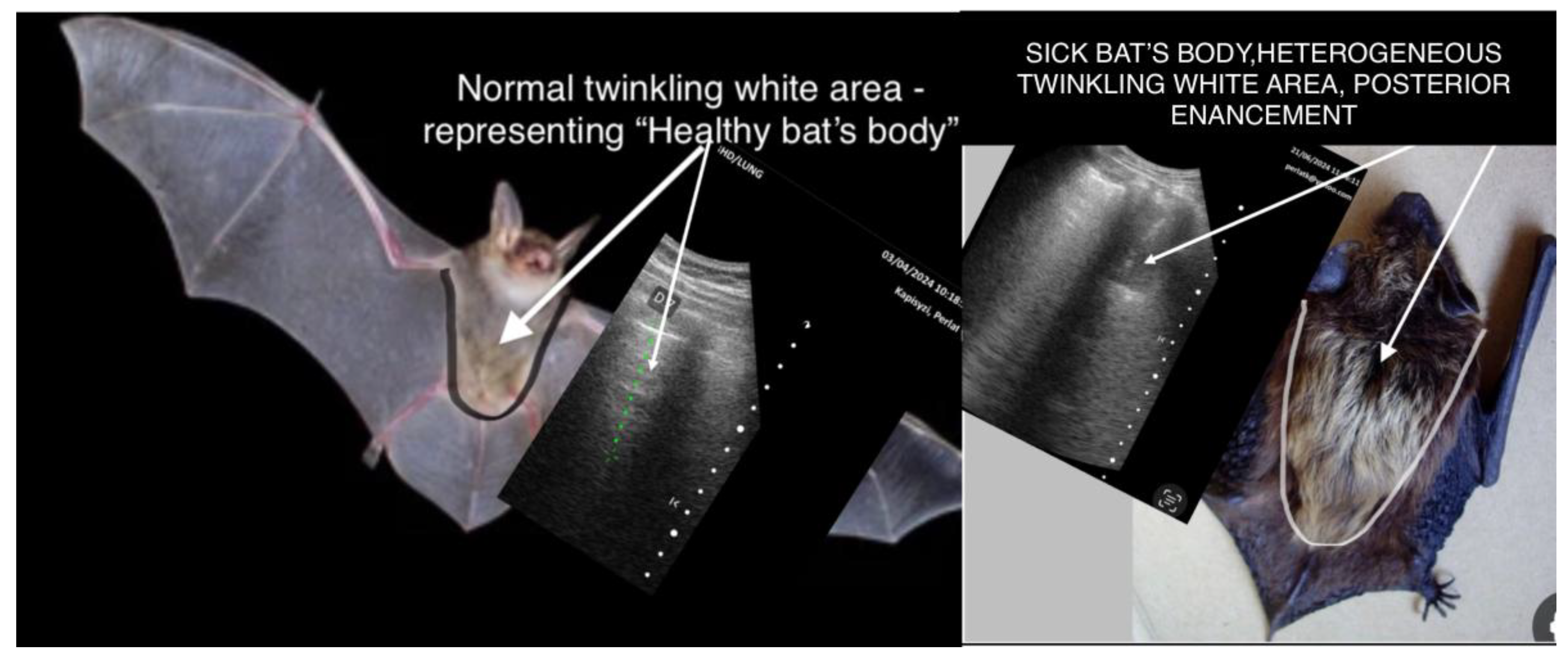 Preprints 194803 g002