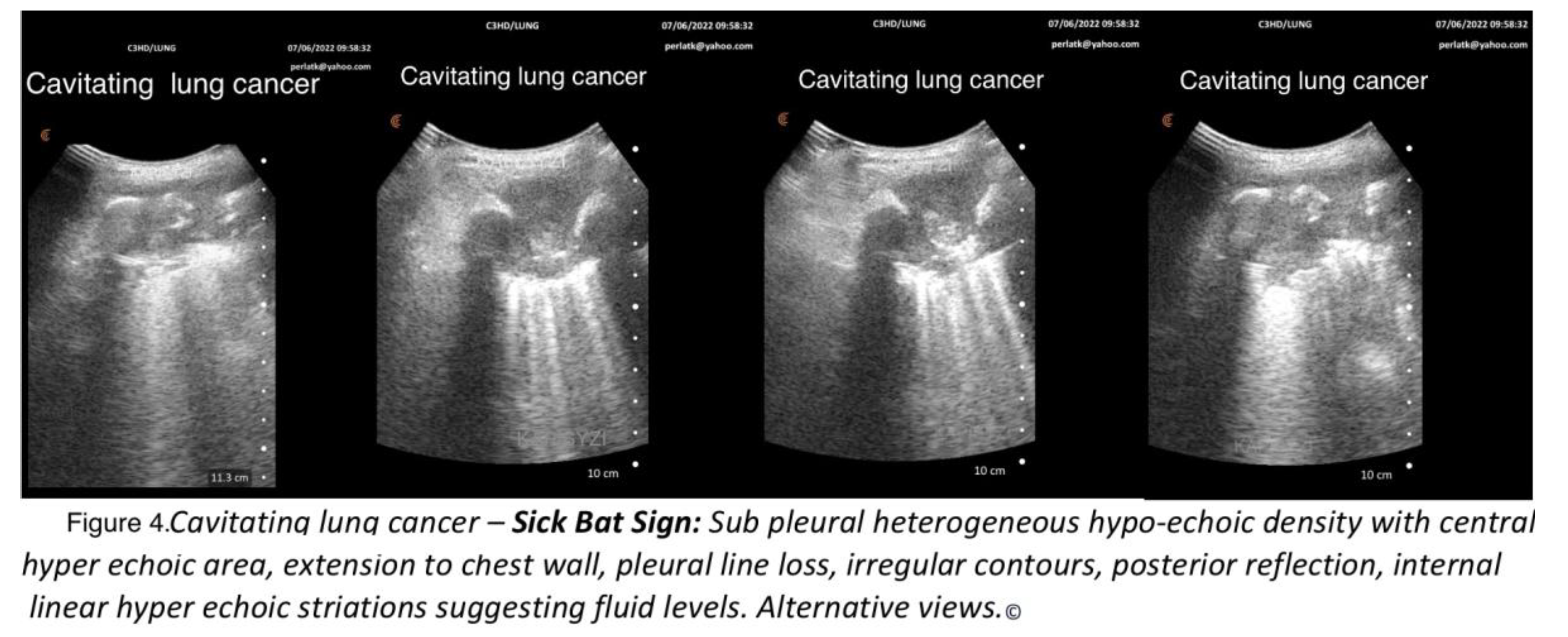 Preprints 194803 g004