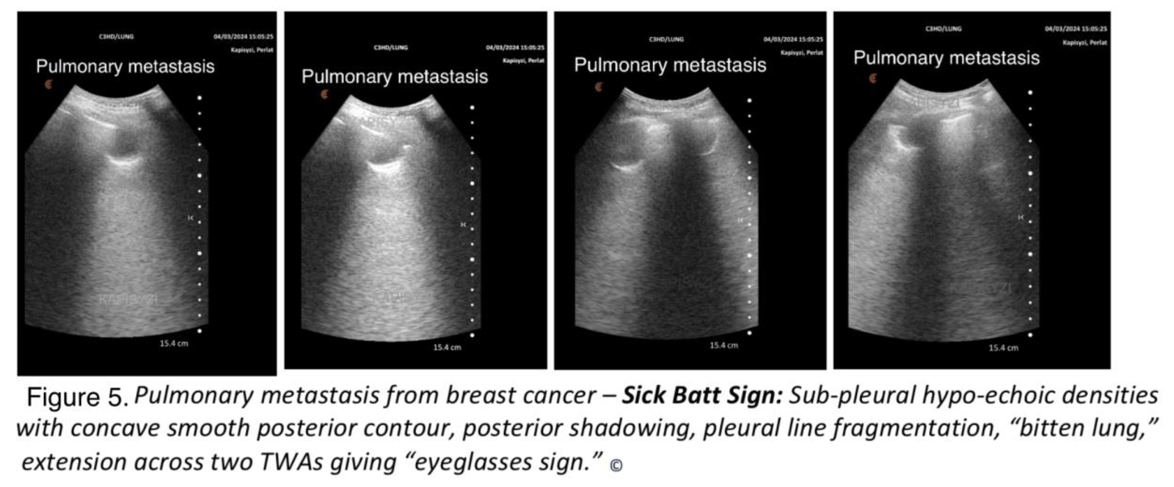 Preprints 194803 g005