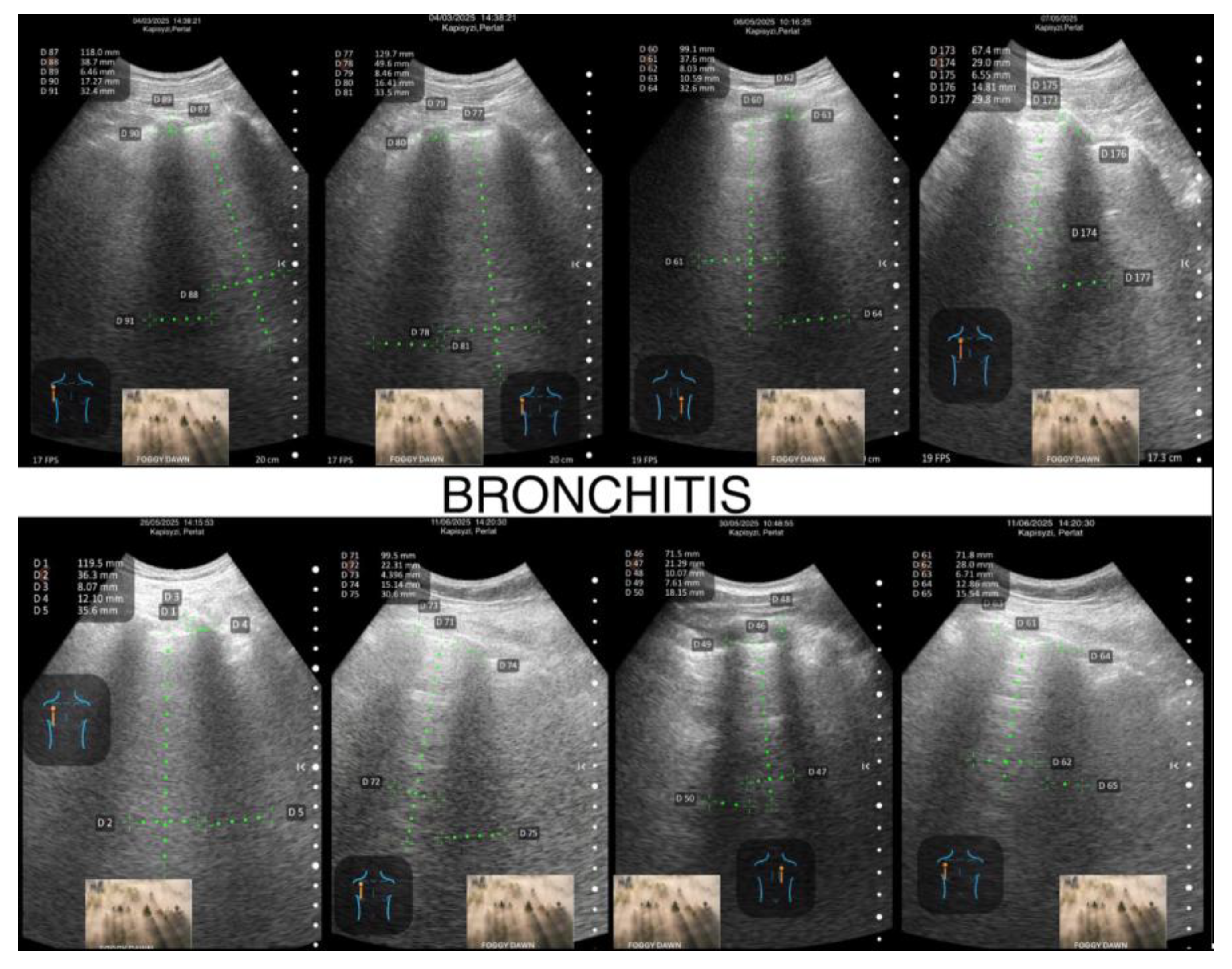 Preprints 194803 g008