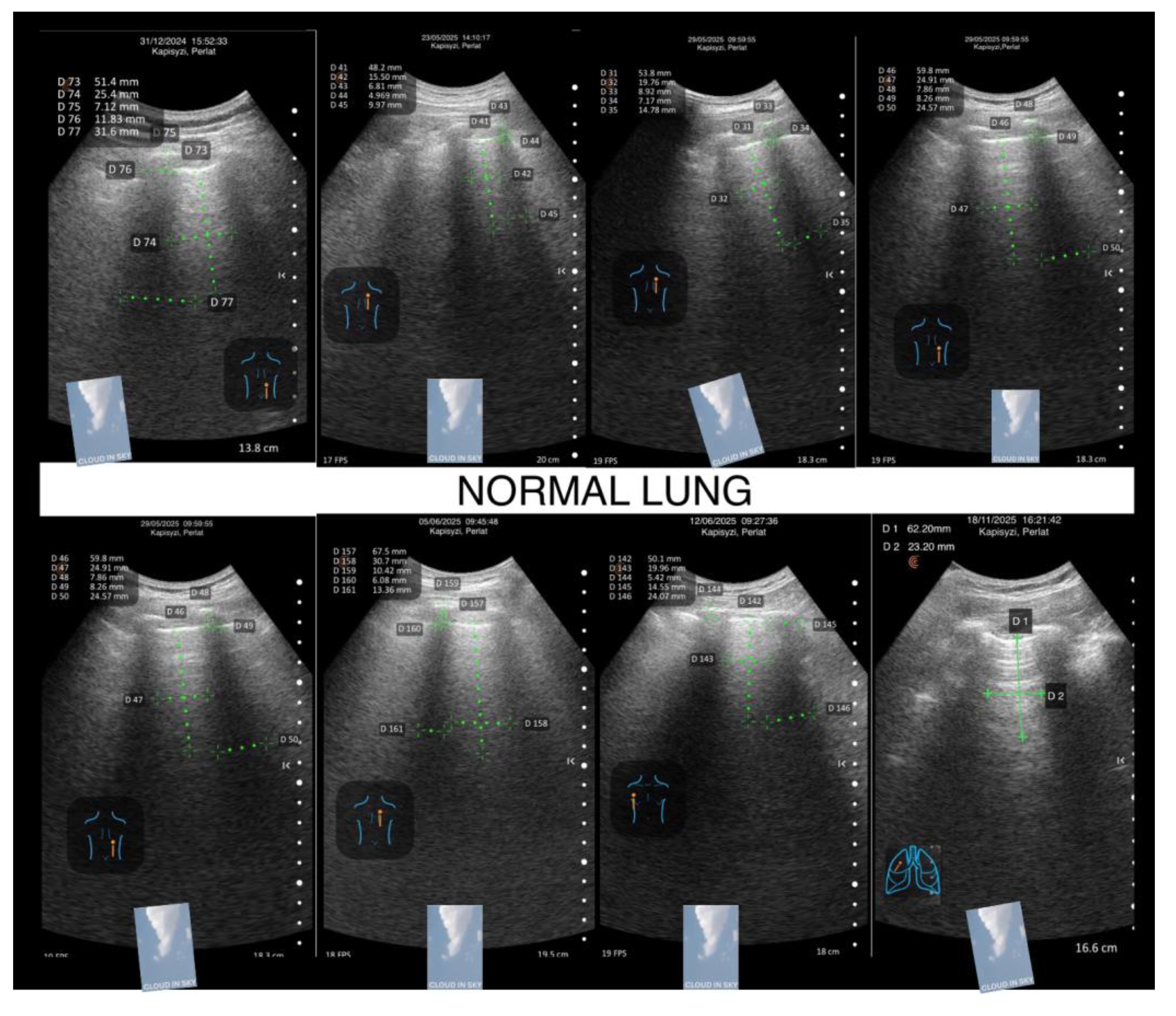 Preprints 194803 g009