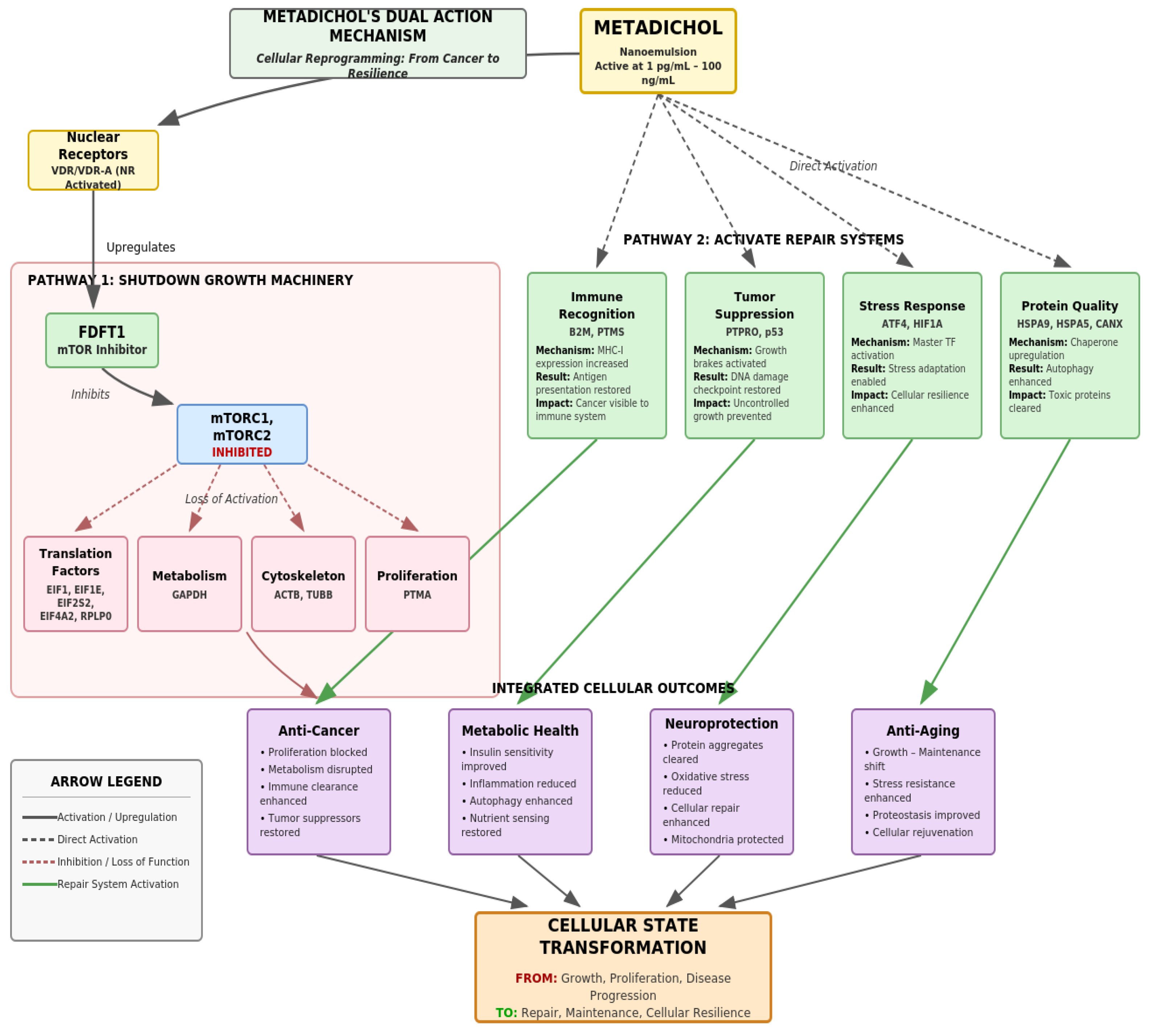 Preprints 196518 g009