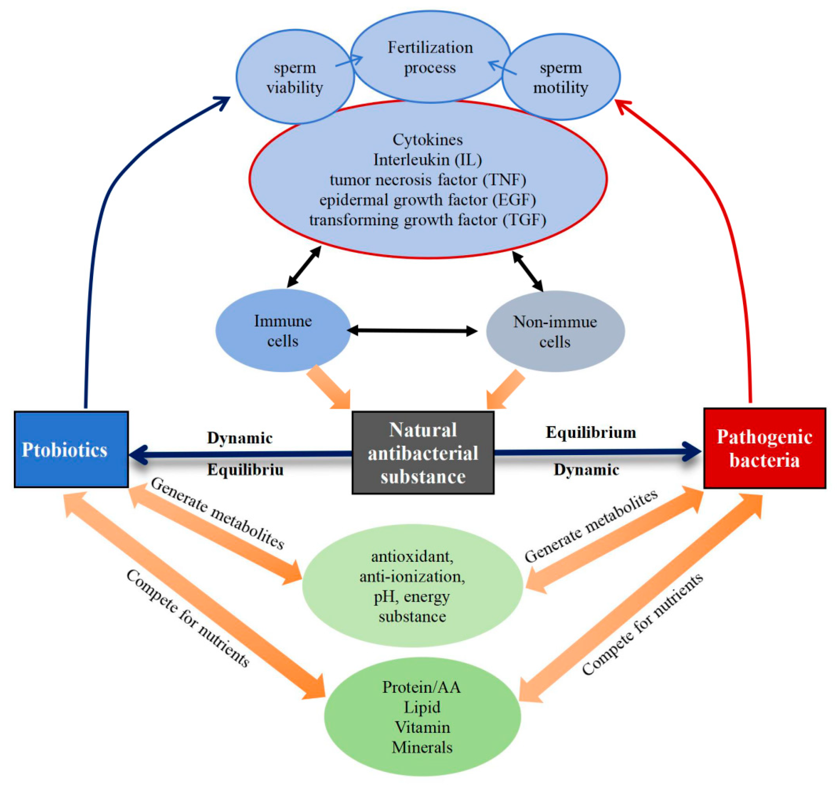 Preprints 122039 g006