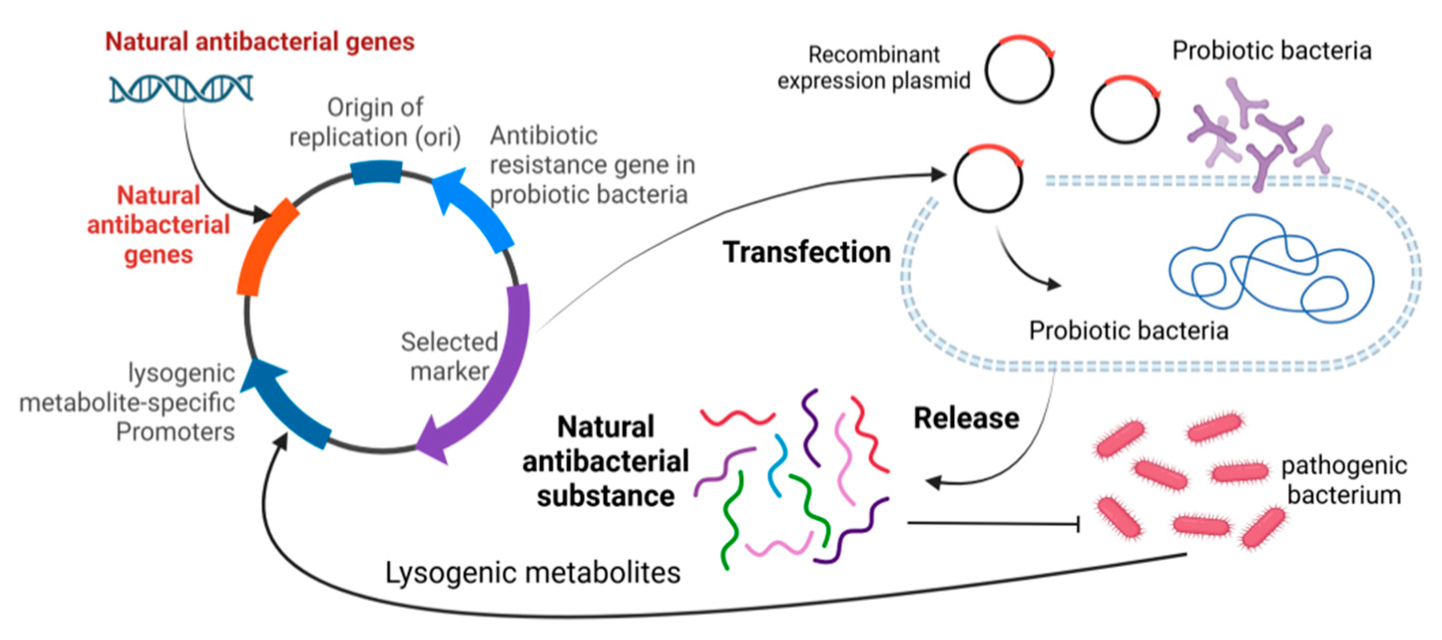 Preprints 122039 g007