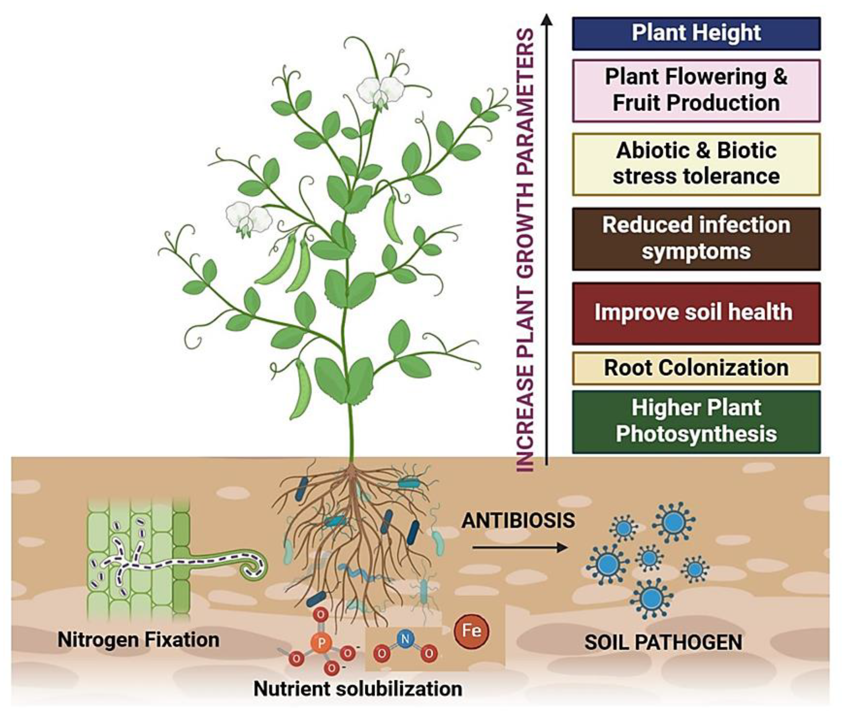 Preprints 145472 g001