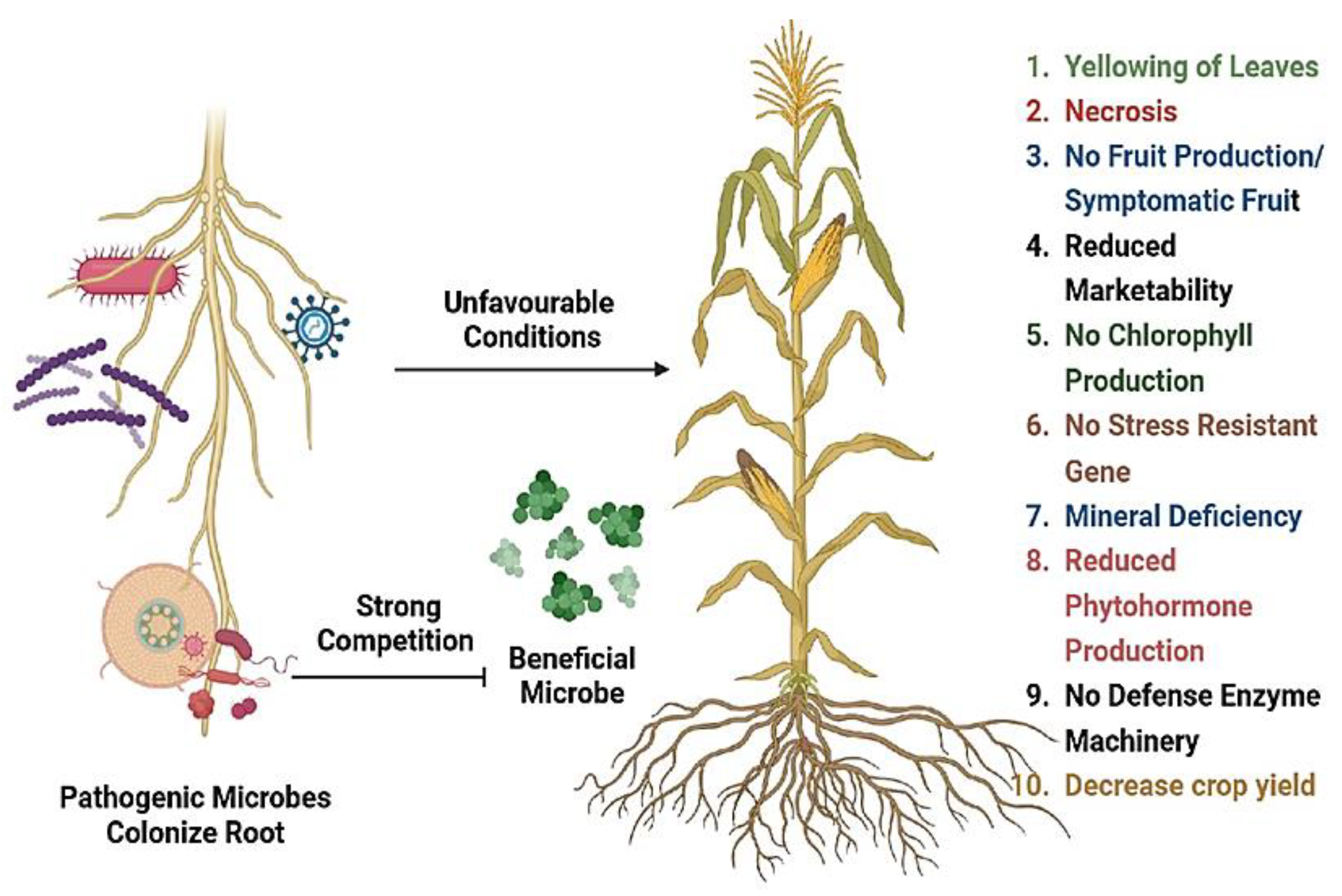 Preprints 145472 g002