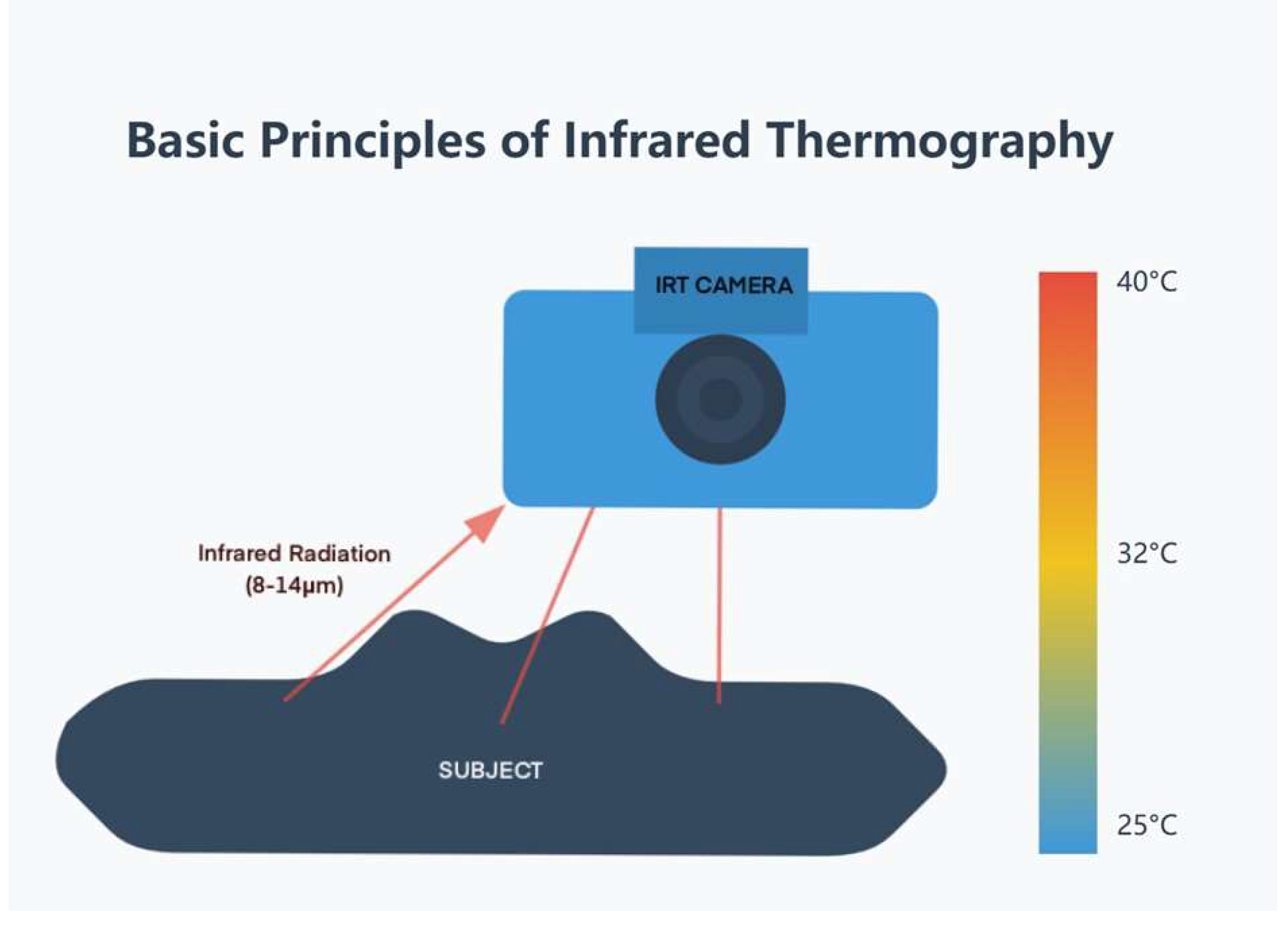 Preprints 141925 g001