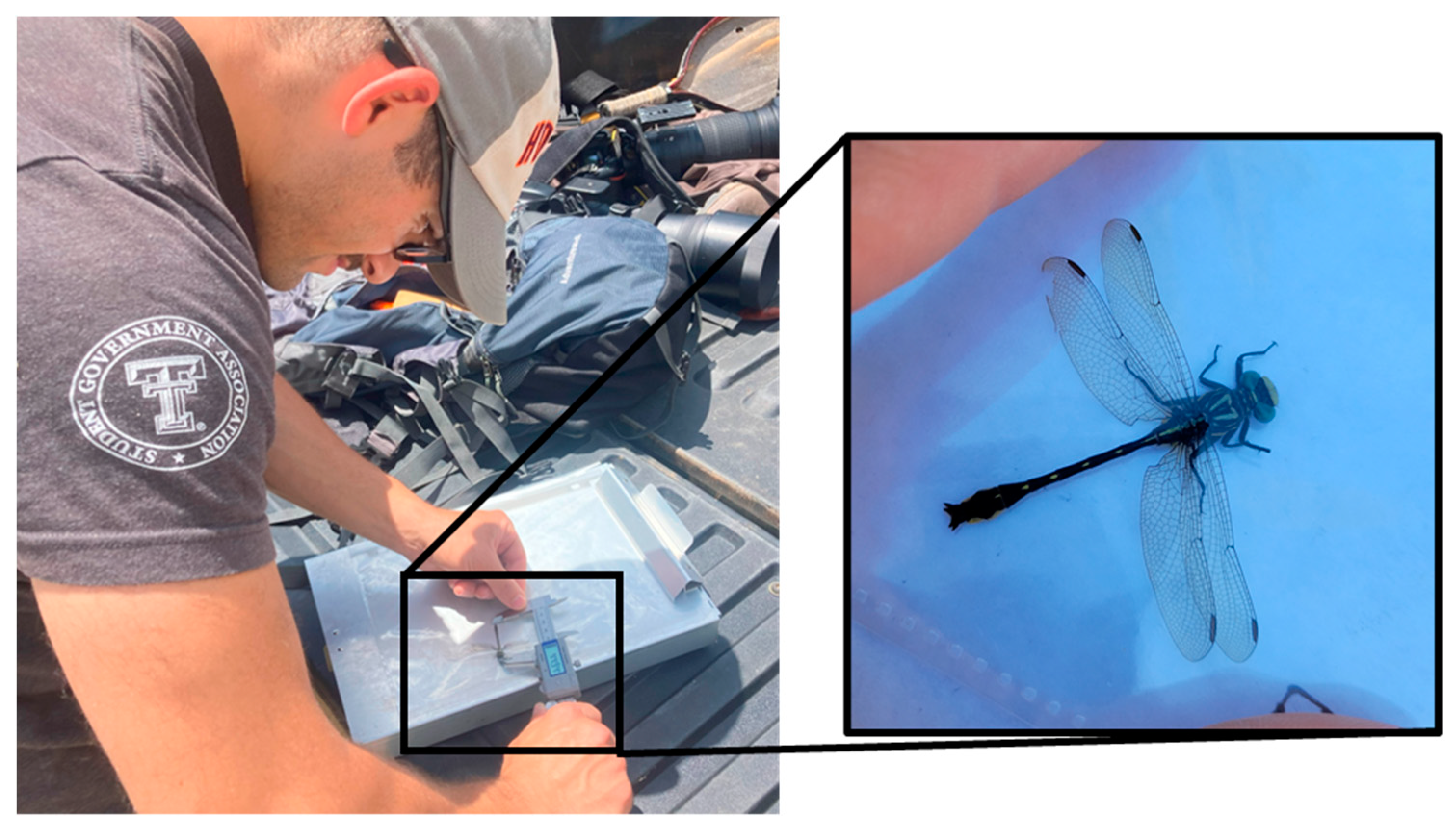 Preprints 81273 g002