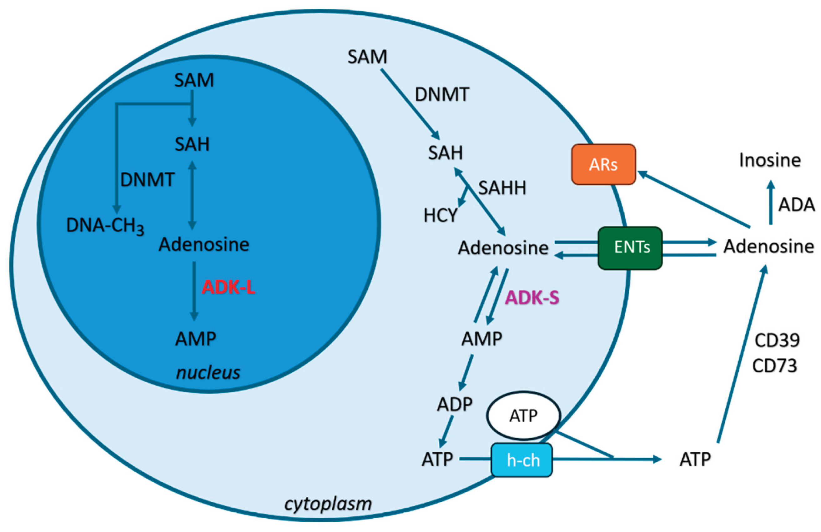 Preprints 188295 g001
