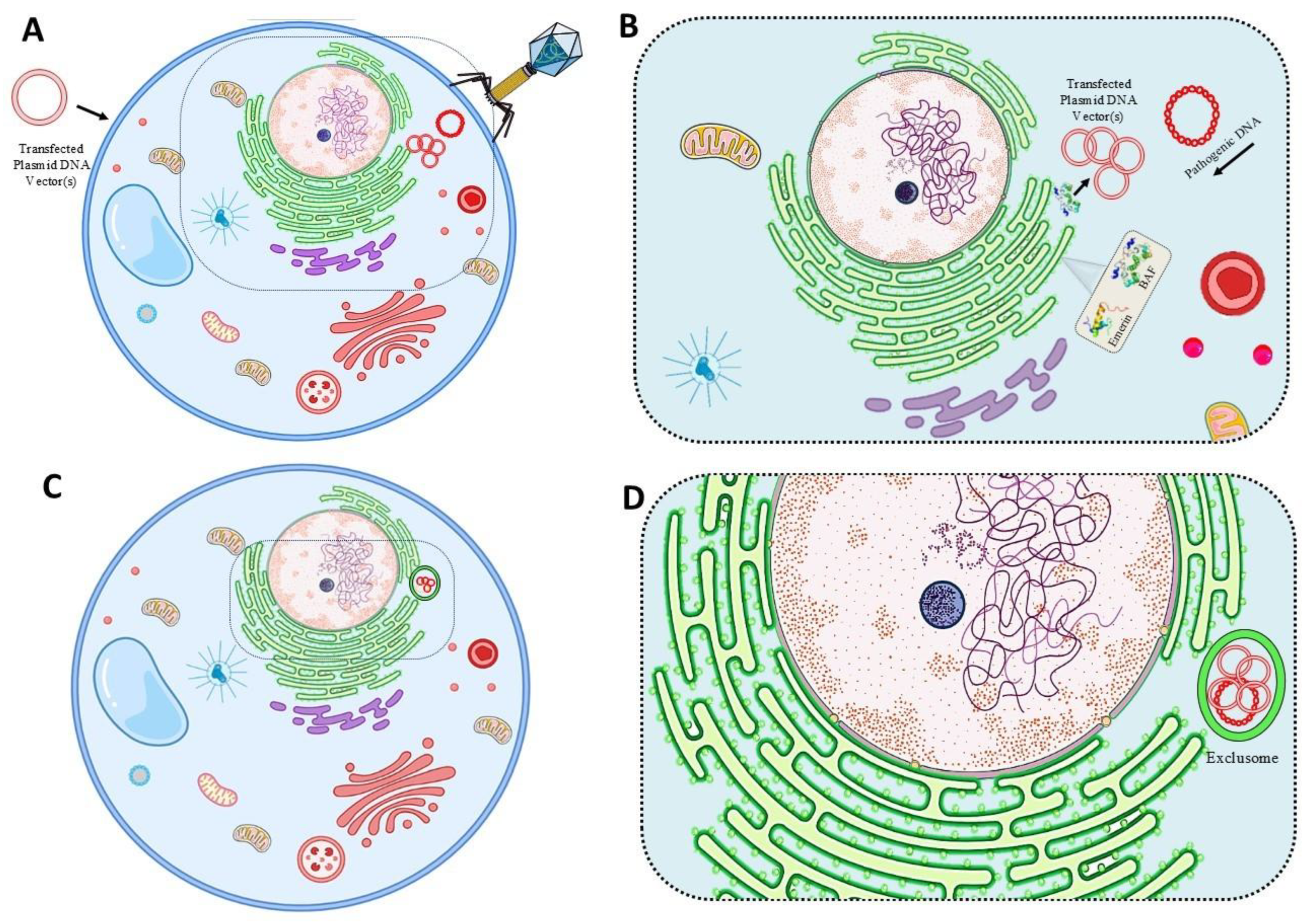 Preprints 217267 g002