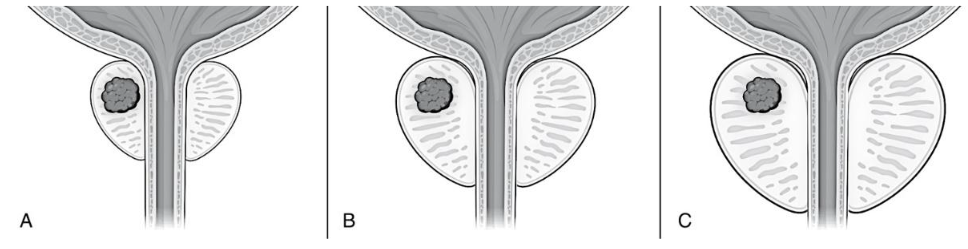 Preprints 199835 g001