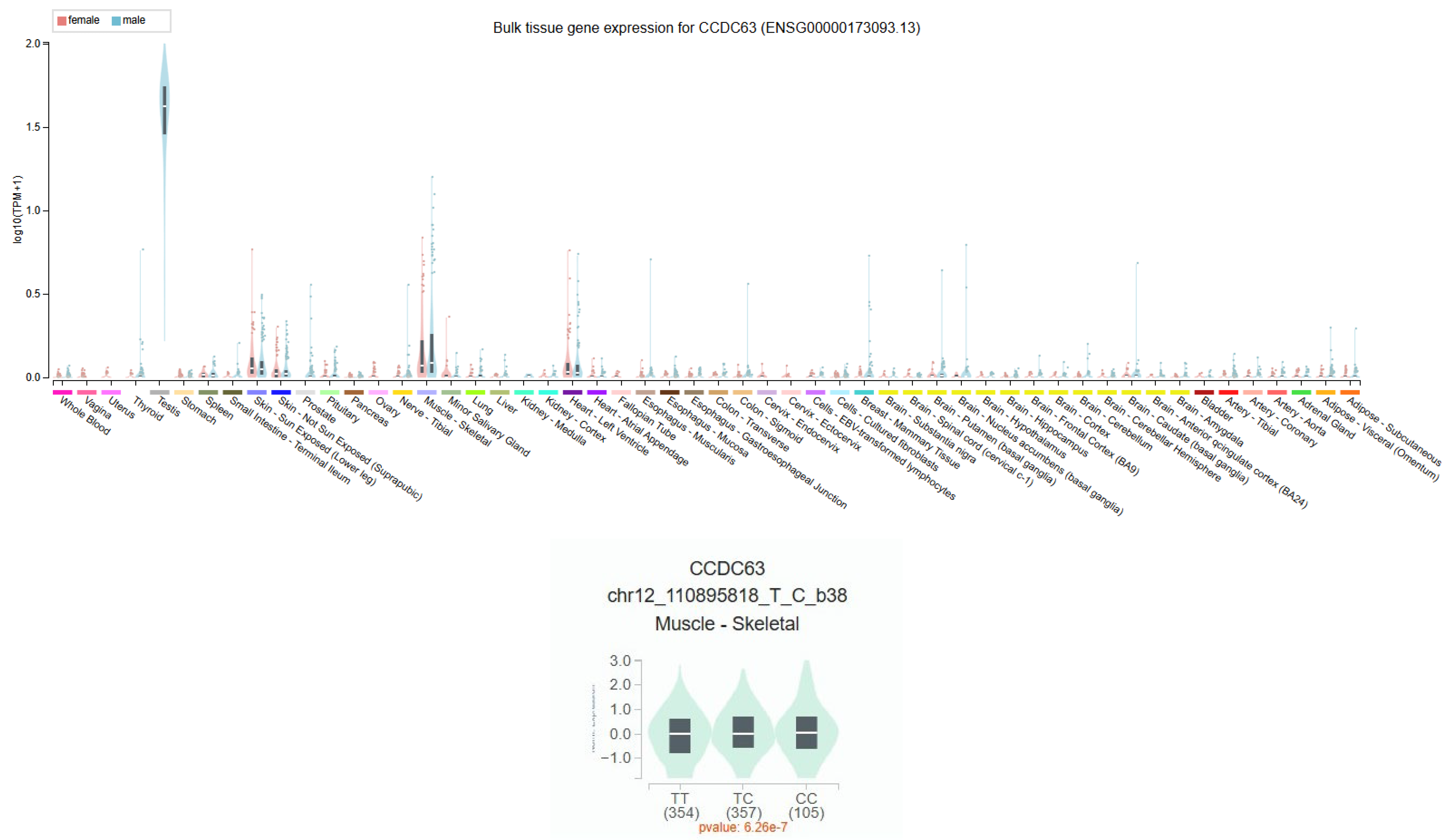 Preprints 193916 g002