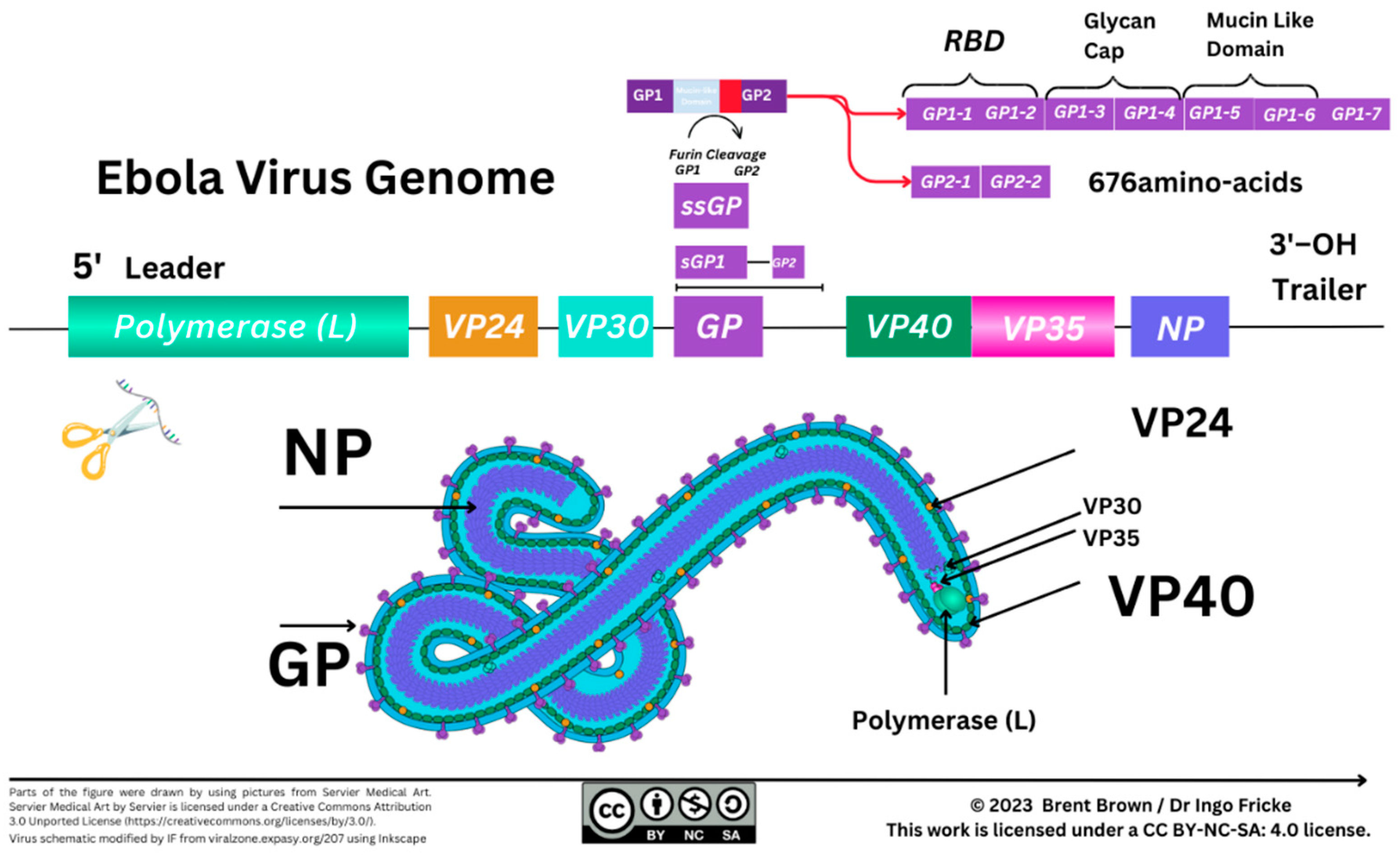 Preprints 84744 g001