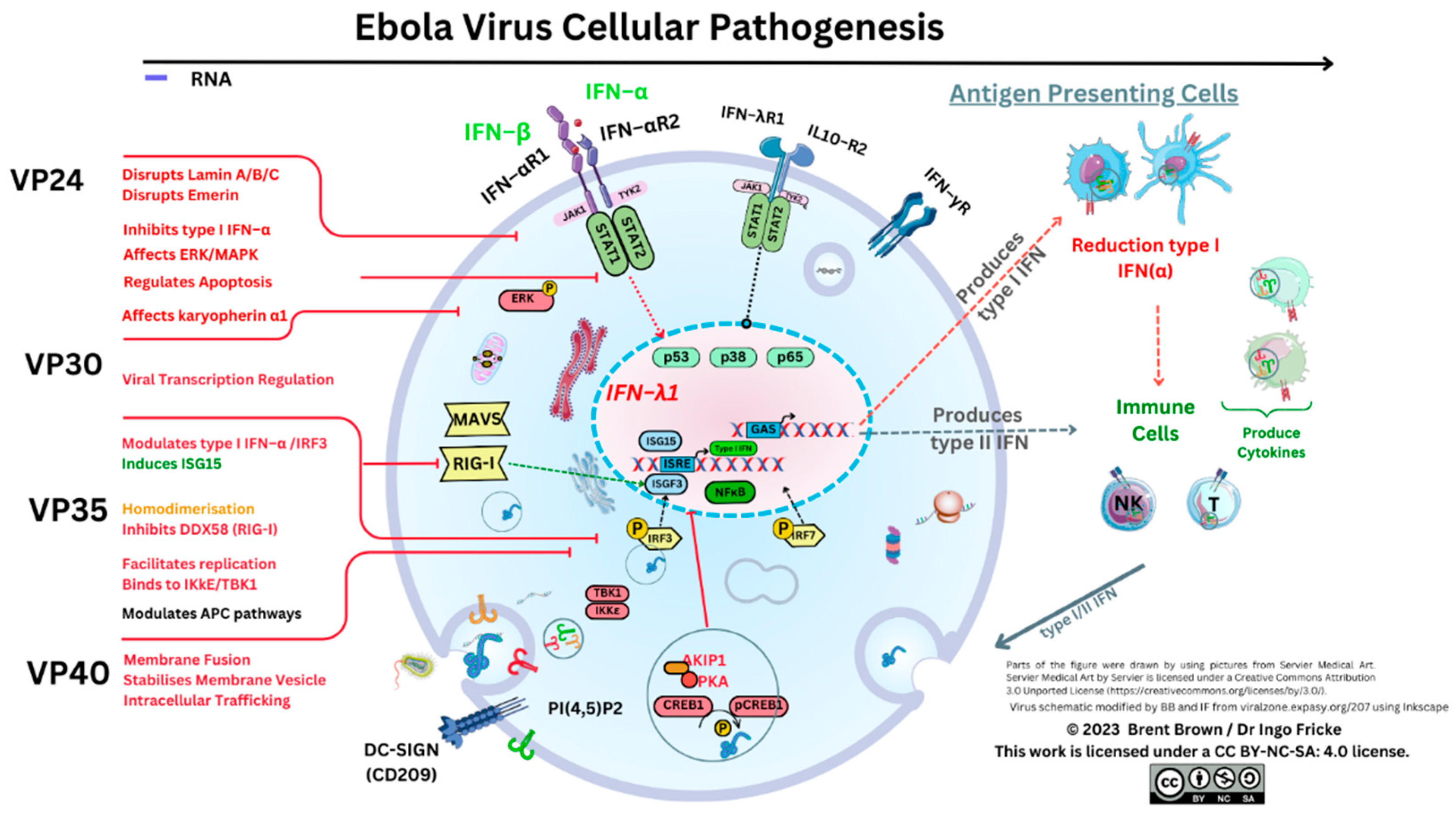 Preprints 84744 g002