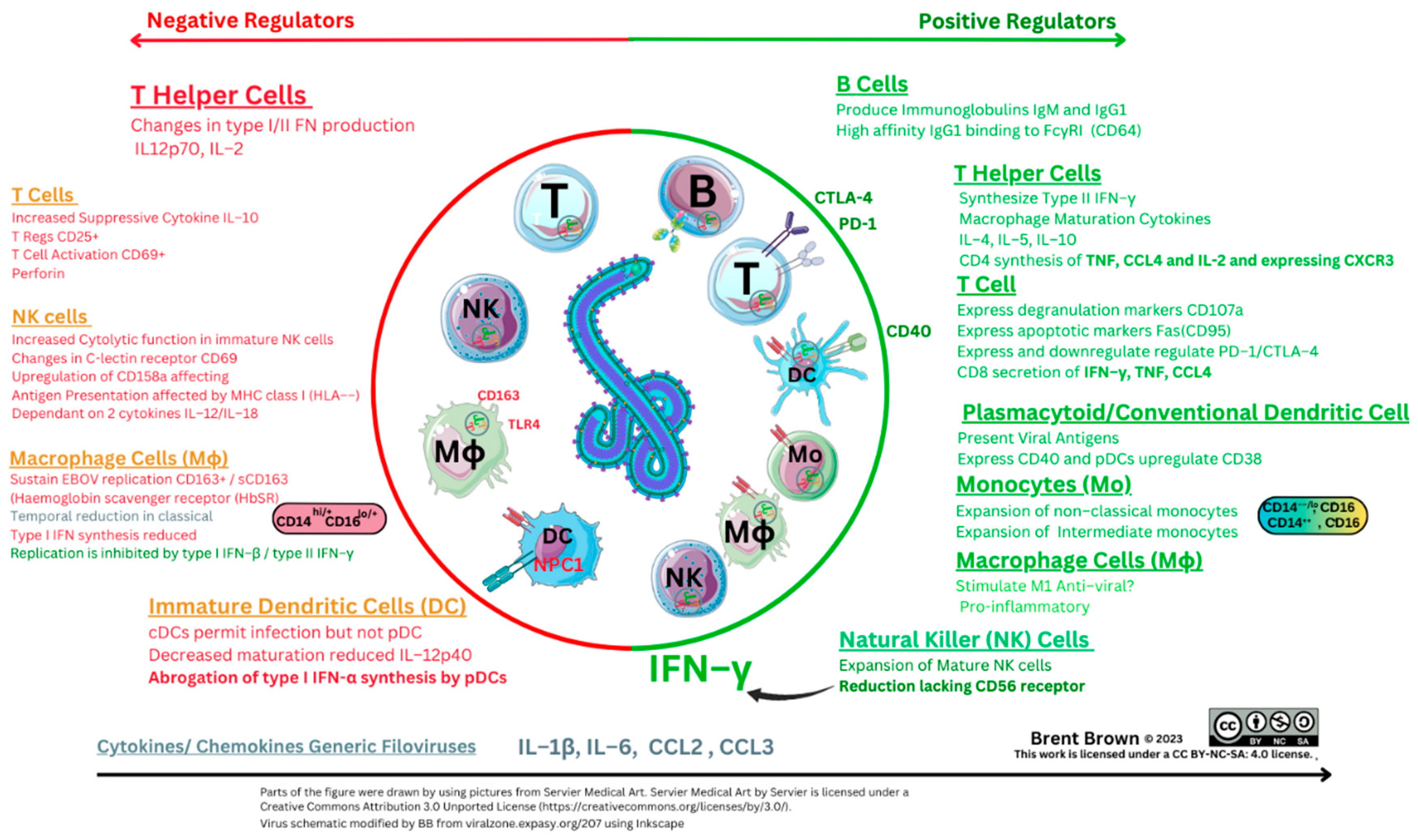 Preprints 84744 g004