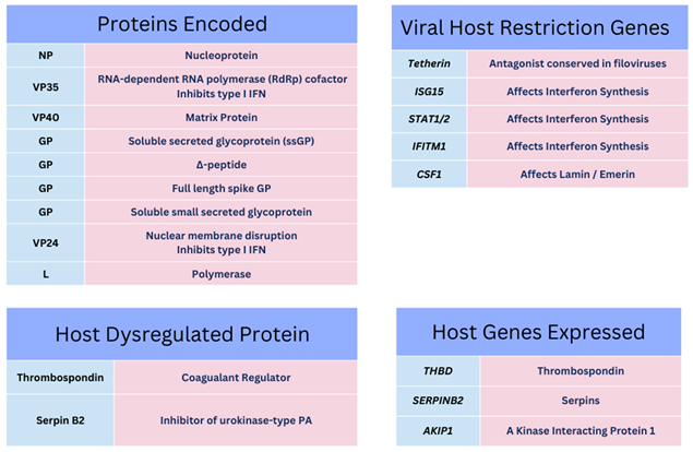 Preprints 84744 i001