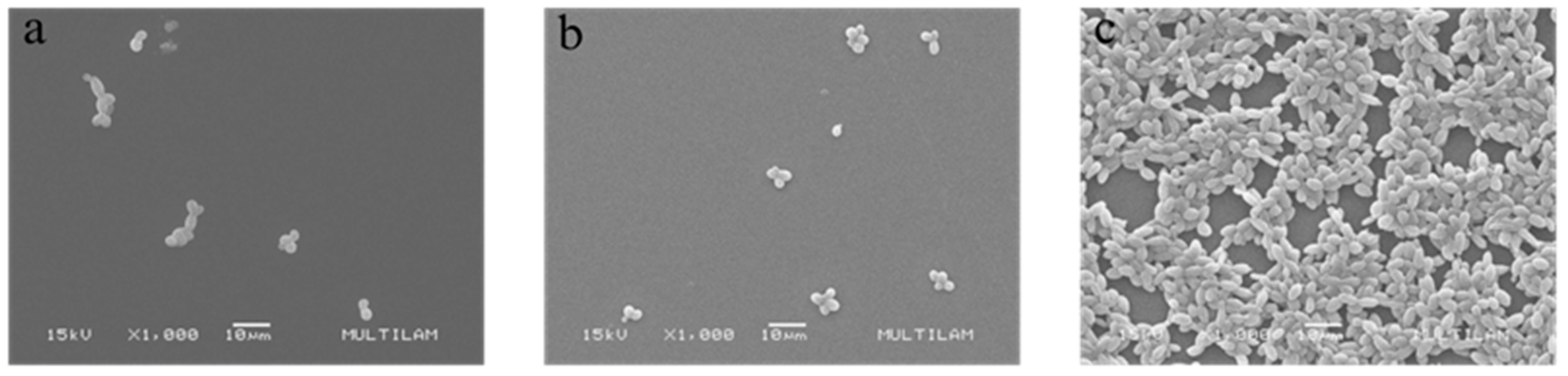 Preprints 165497 g002