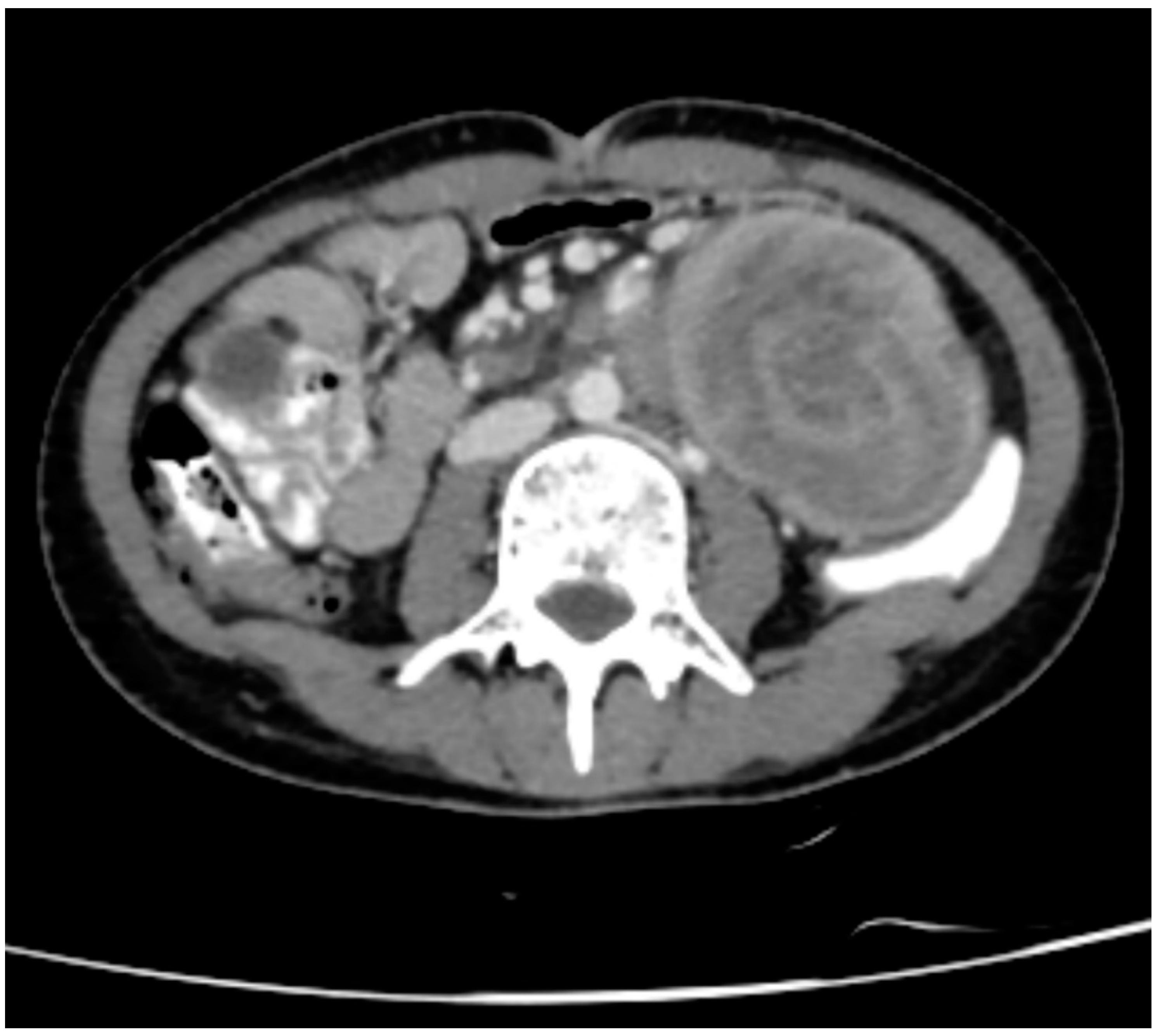 Preprints 89586 g001