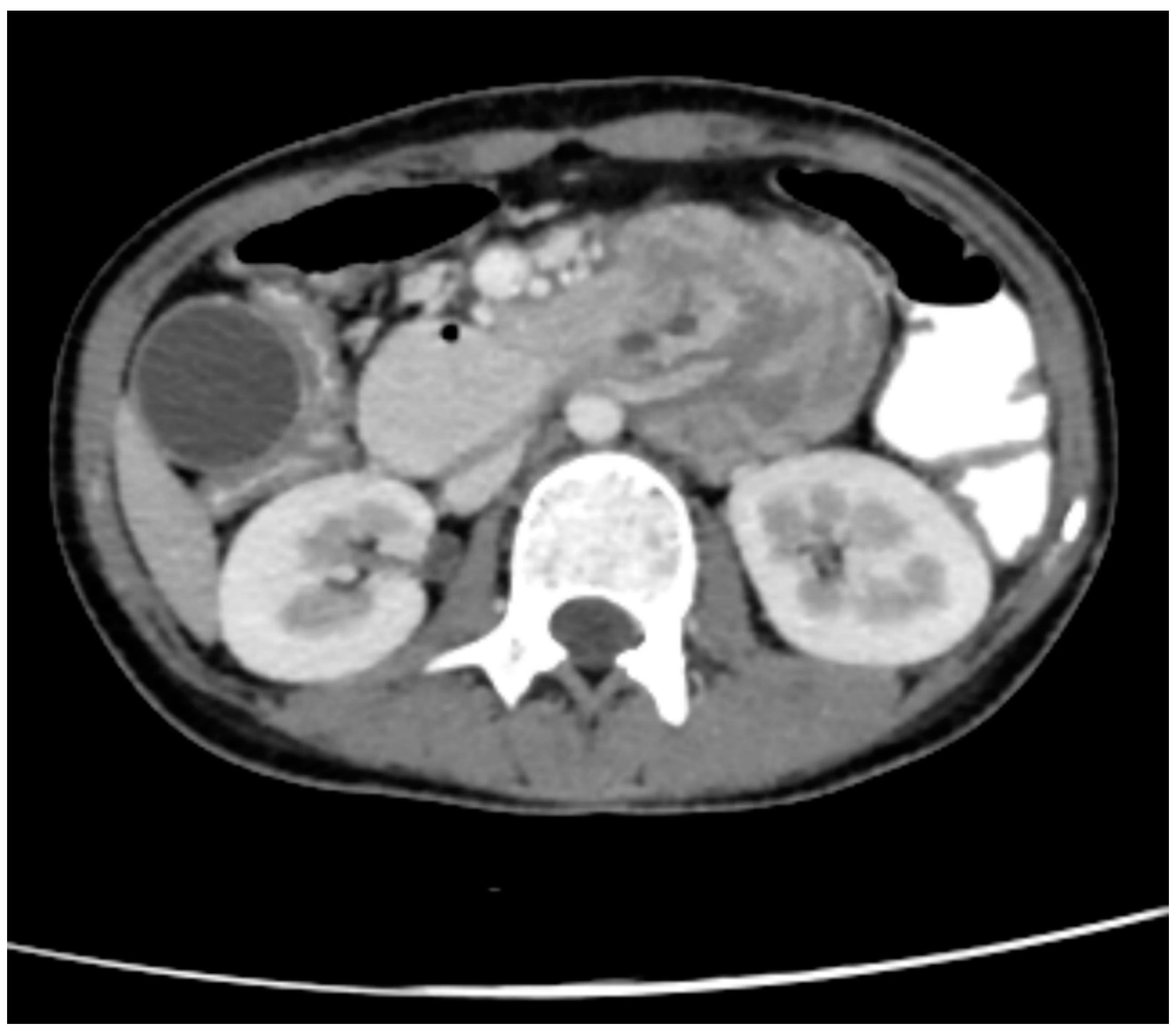Preprints 89586 g002