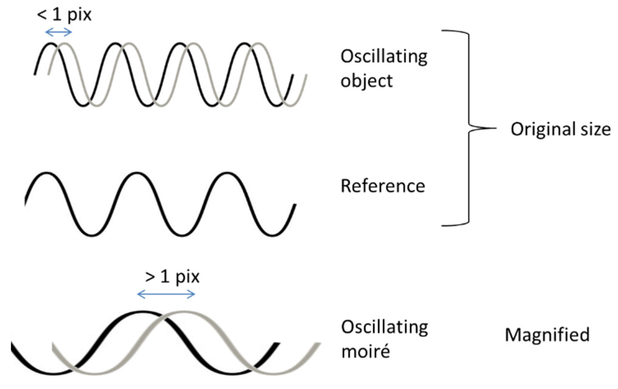Preprints 165796 g002