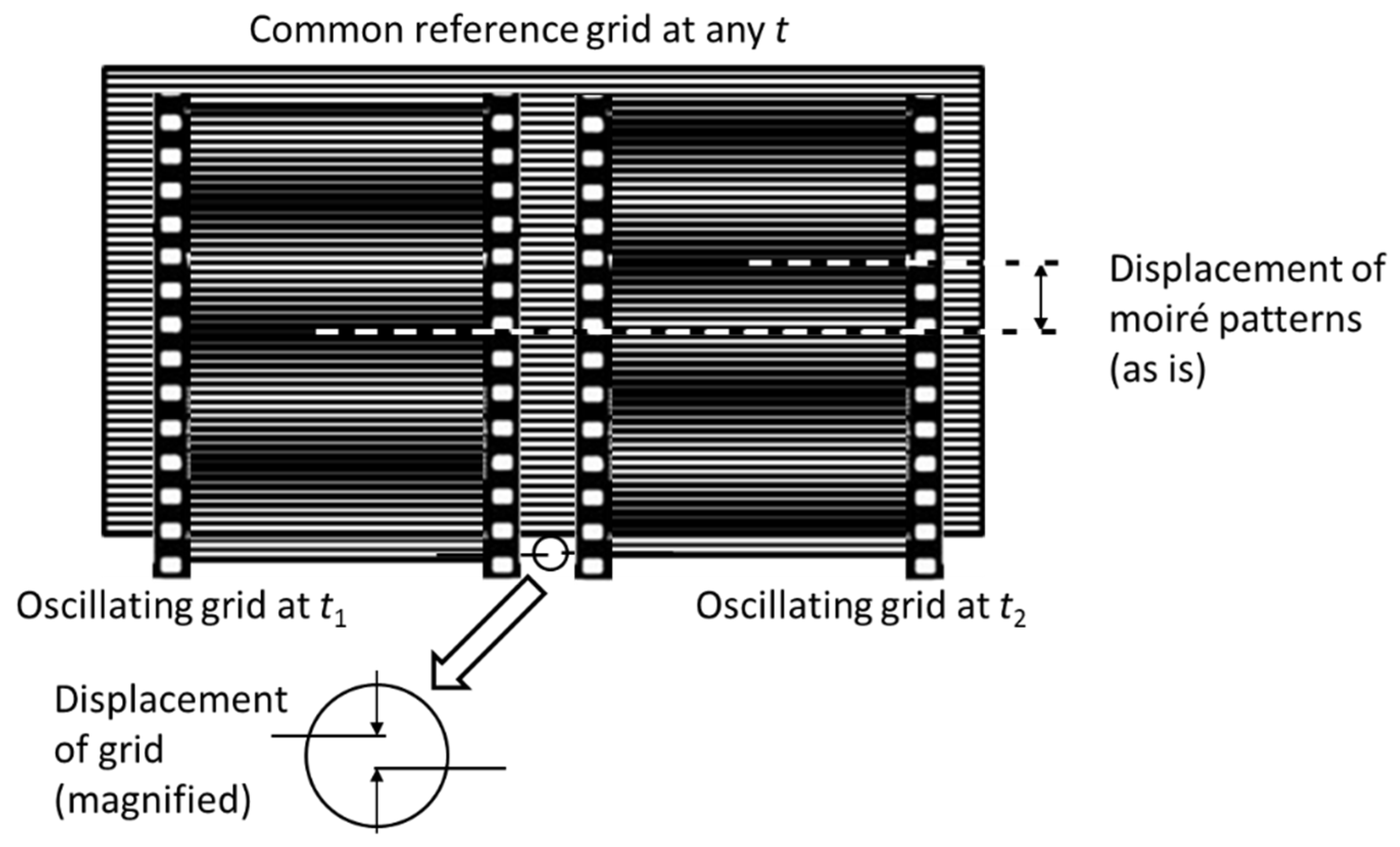 Preprints 165796 g005