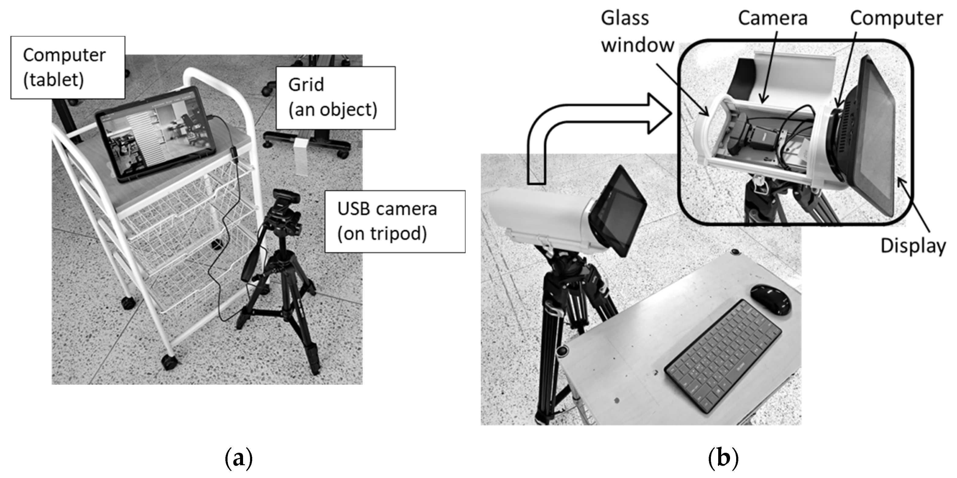 Preprints 165796 g007