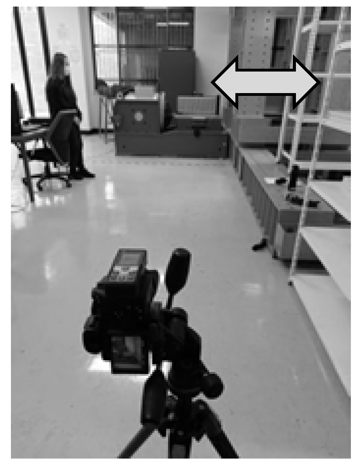 Preprints 165796 g021