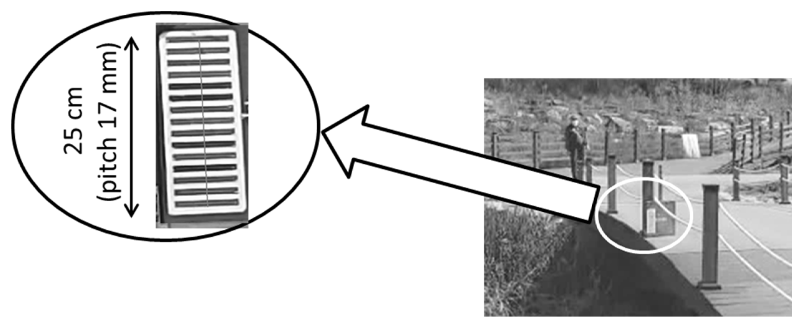 Preprints 165796 g024