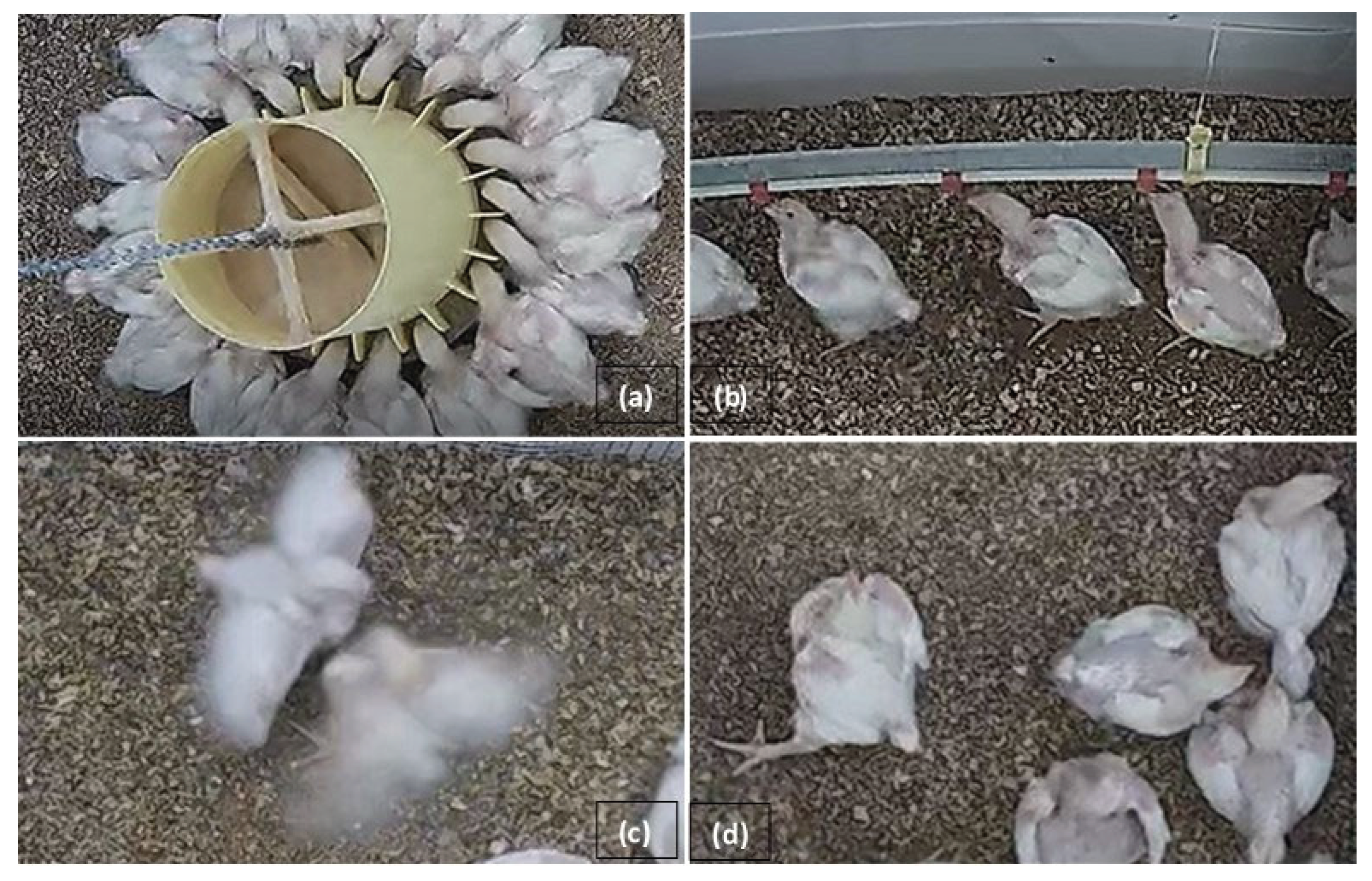 Preprints 100260 g002