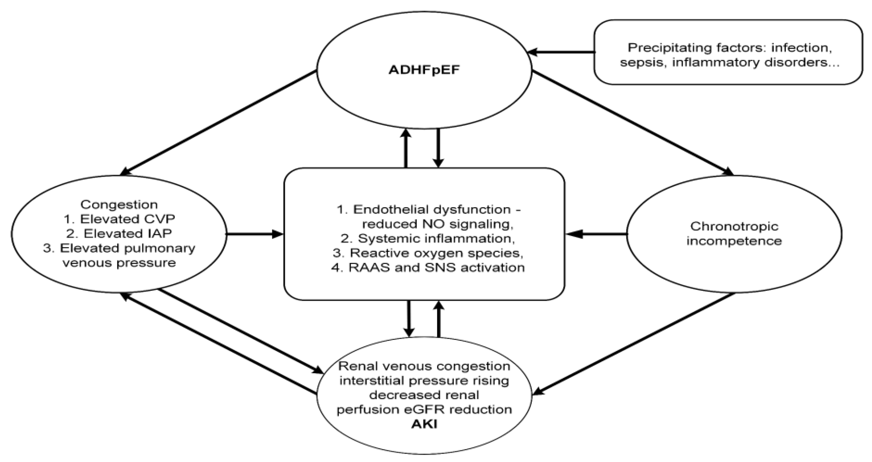 Preprints 206972 g001