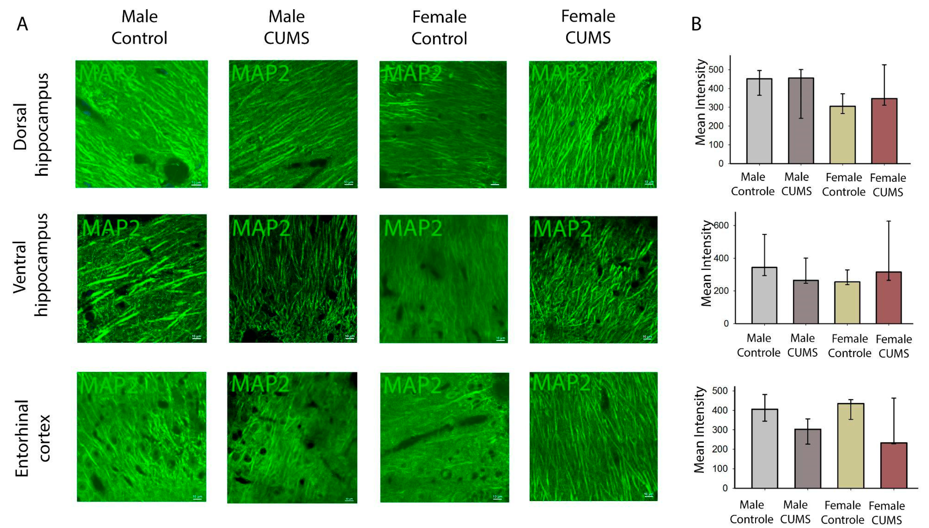 Preprints 143585 g005