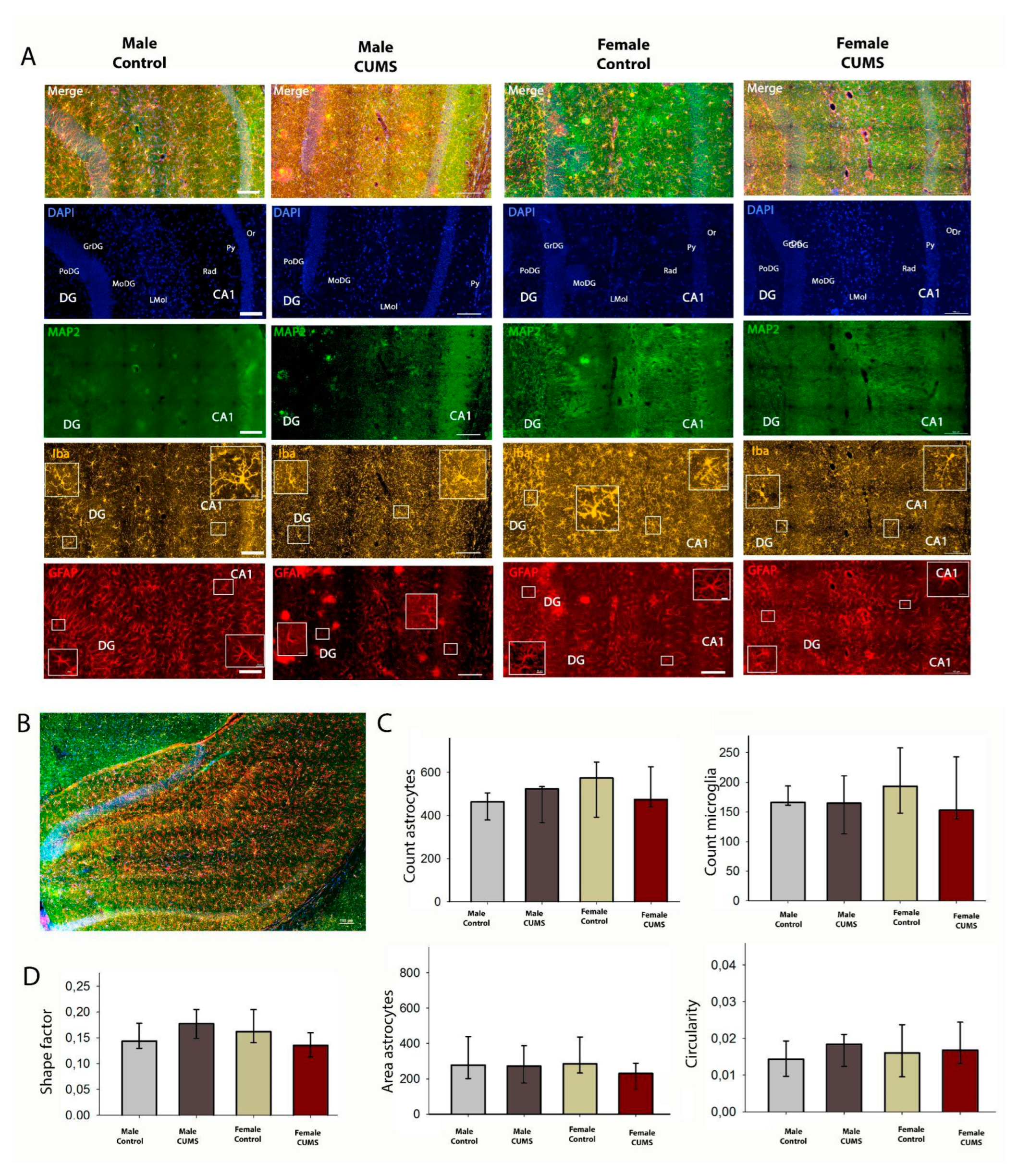 Preprints 143585 g006