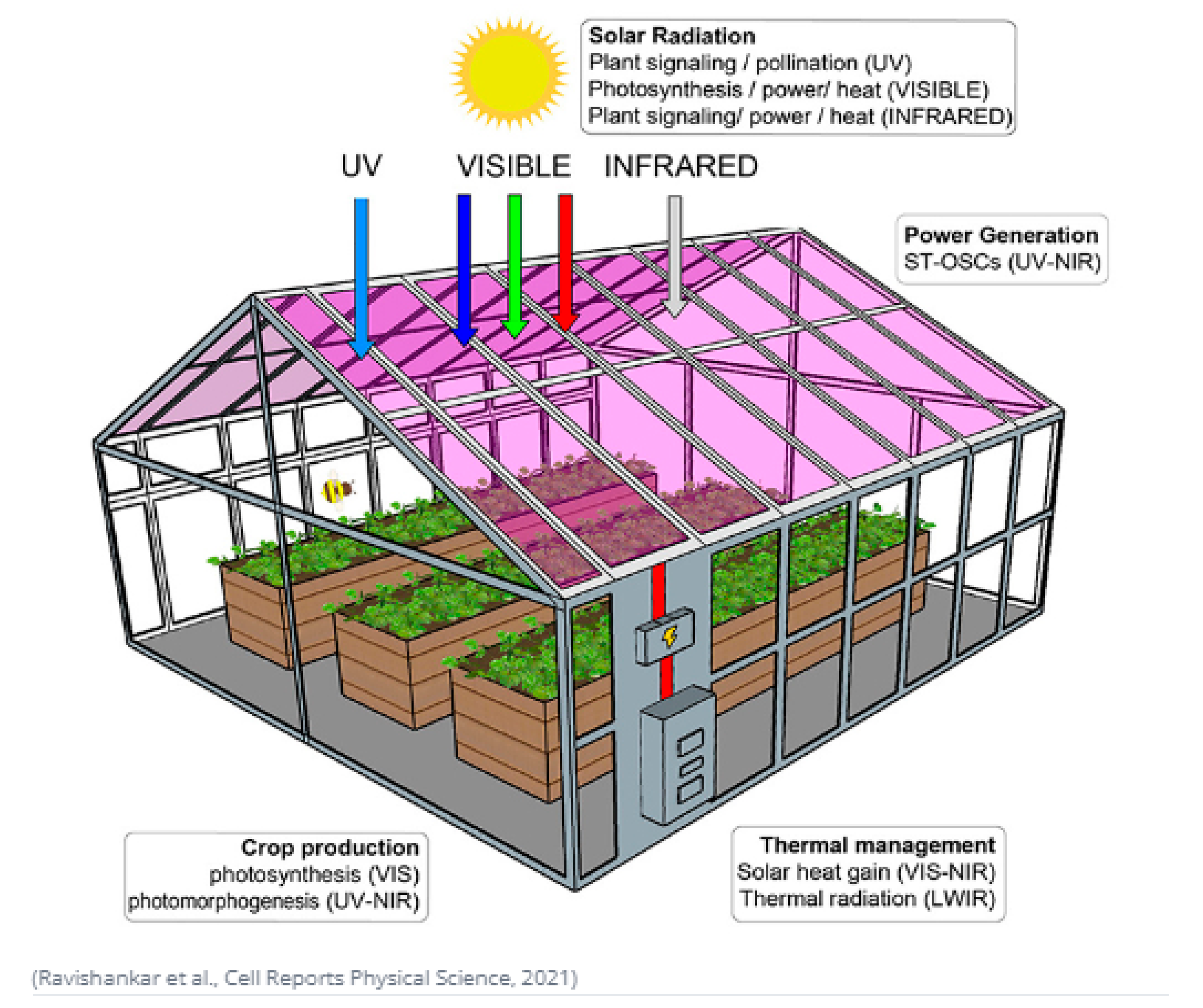 Preprints 207095 g001