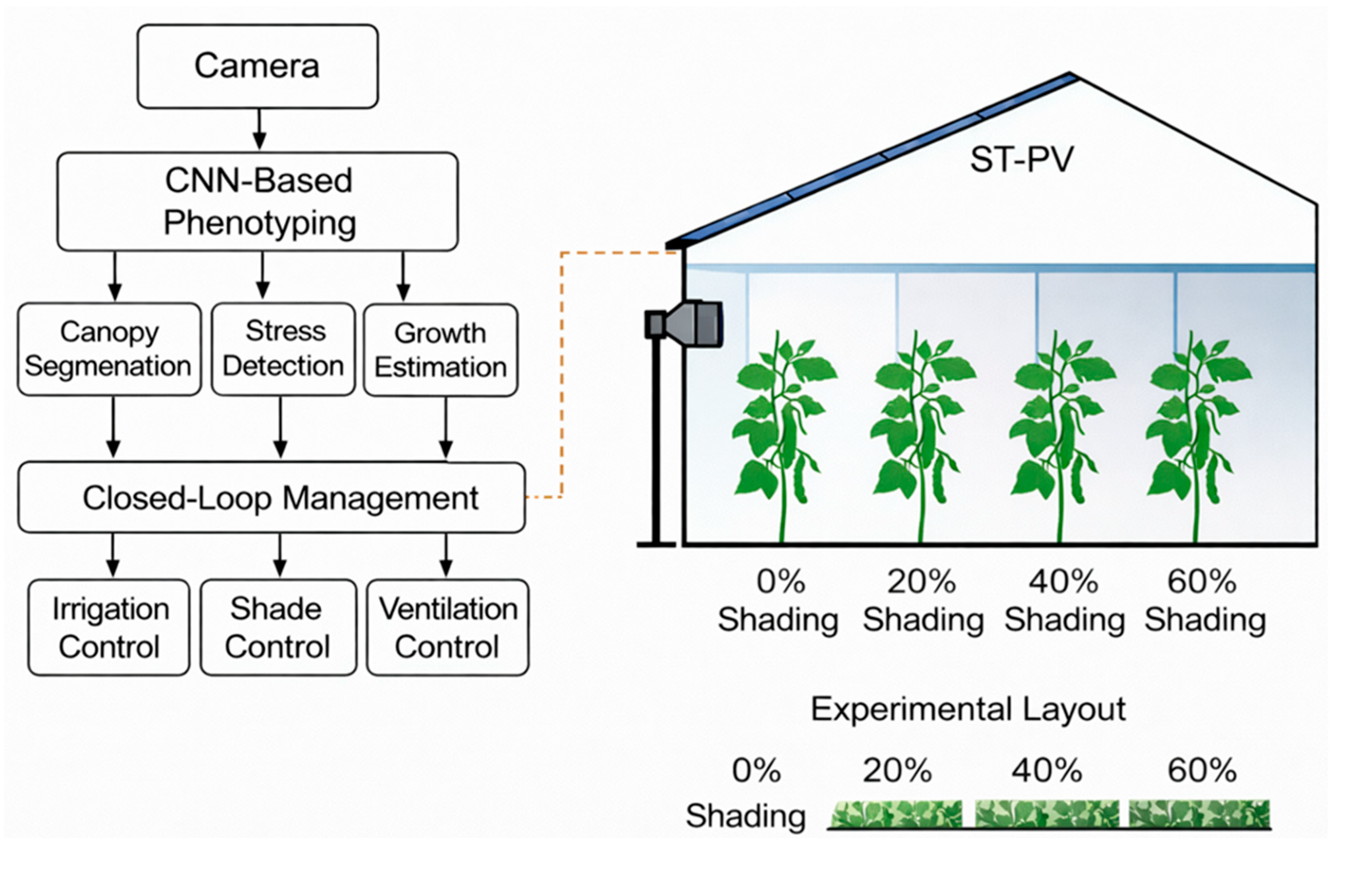 Preprints 207095 g003