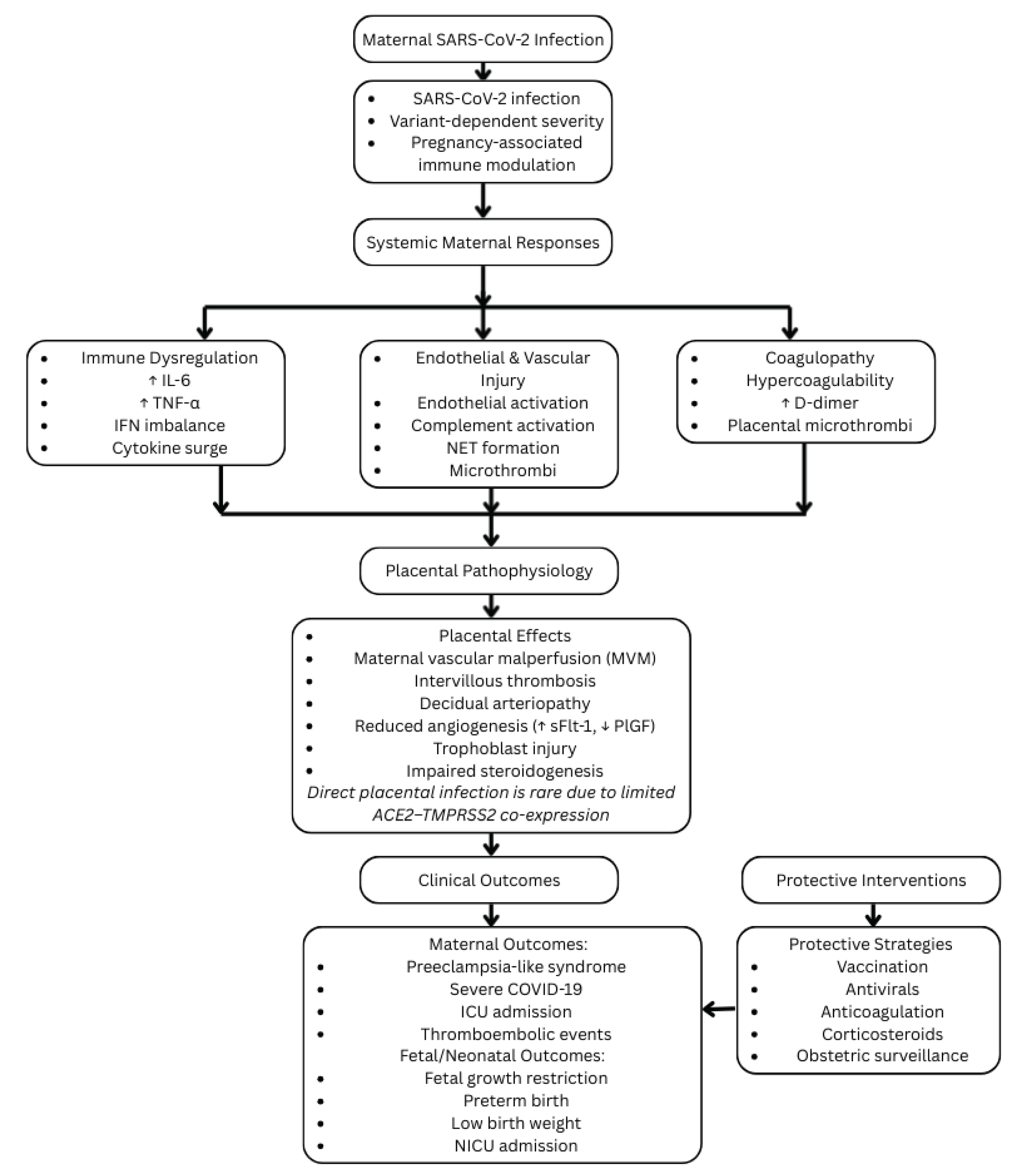 Preprints 197645 g001