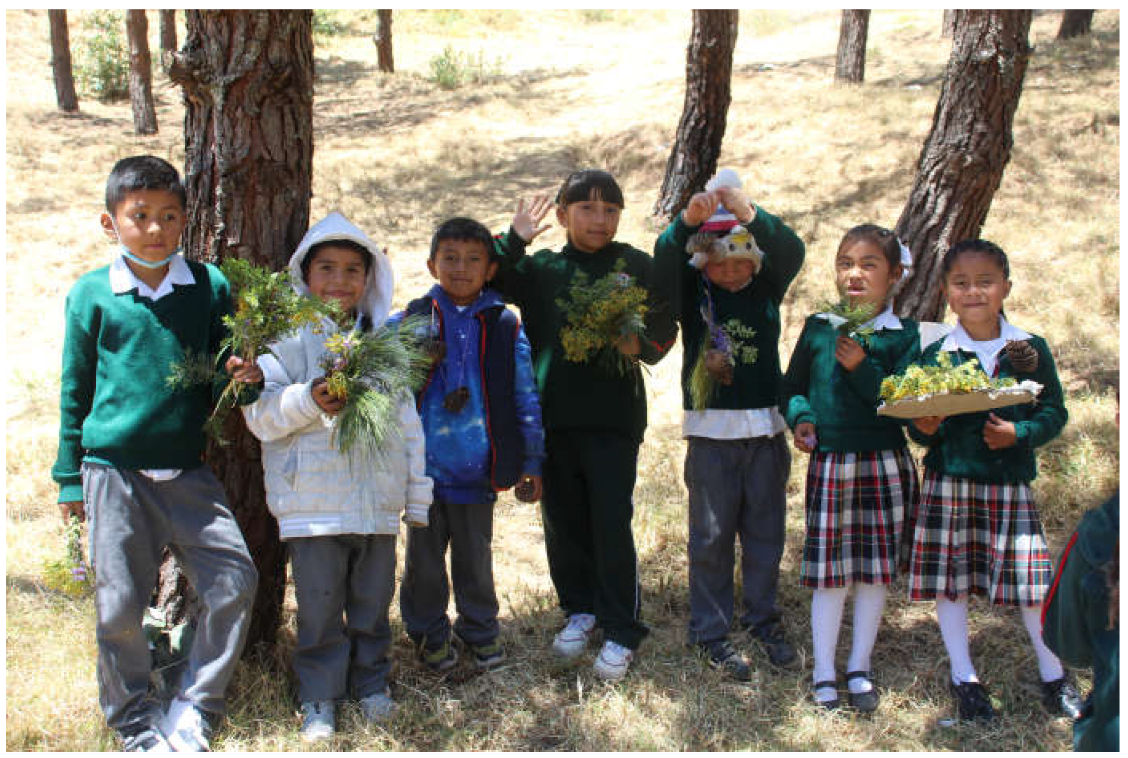 Preprints 198843 g008