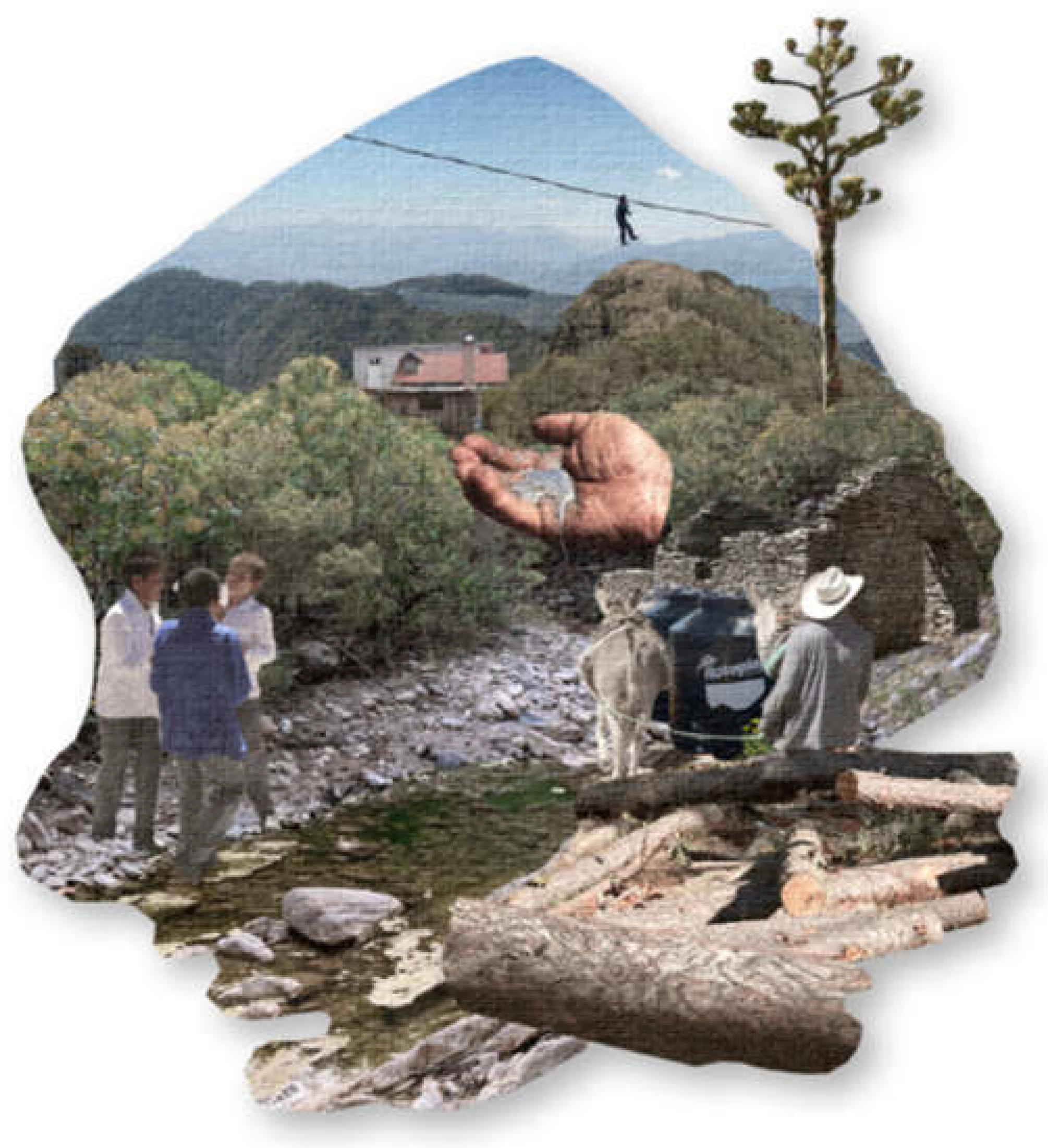 Preprints 198843 g012