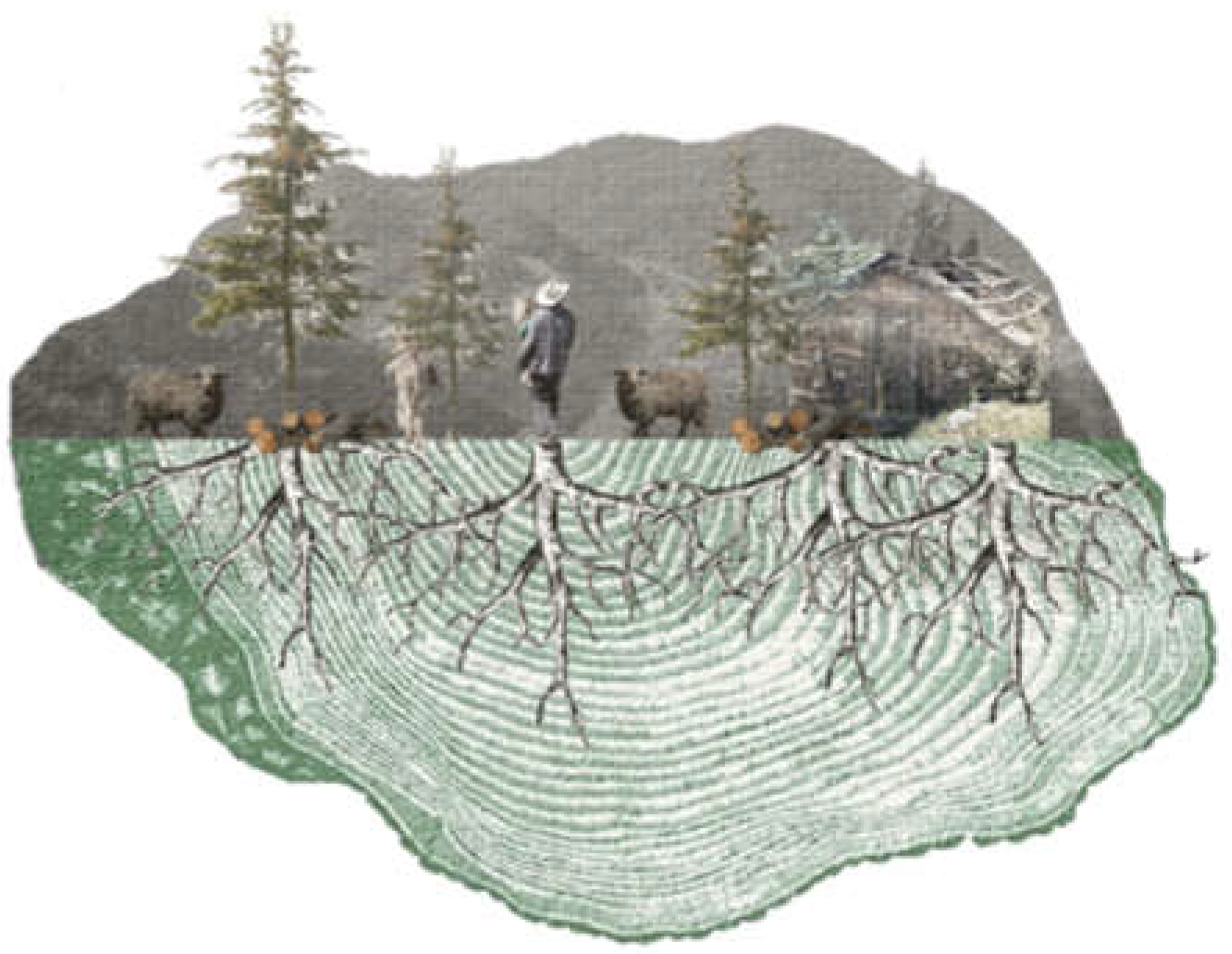 Preprints 198843 g013