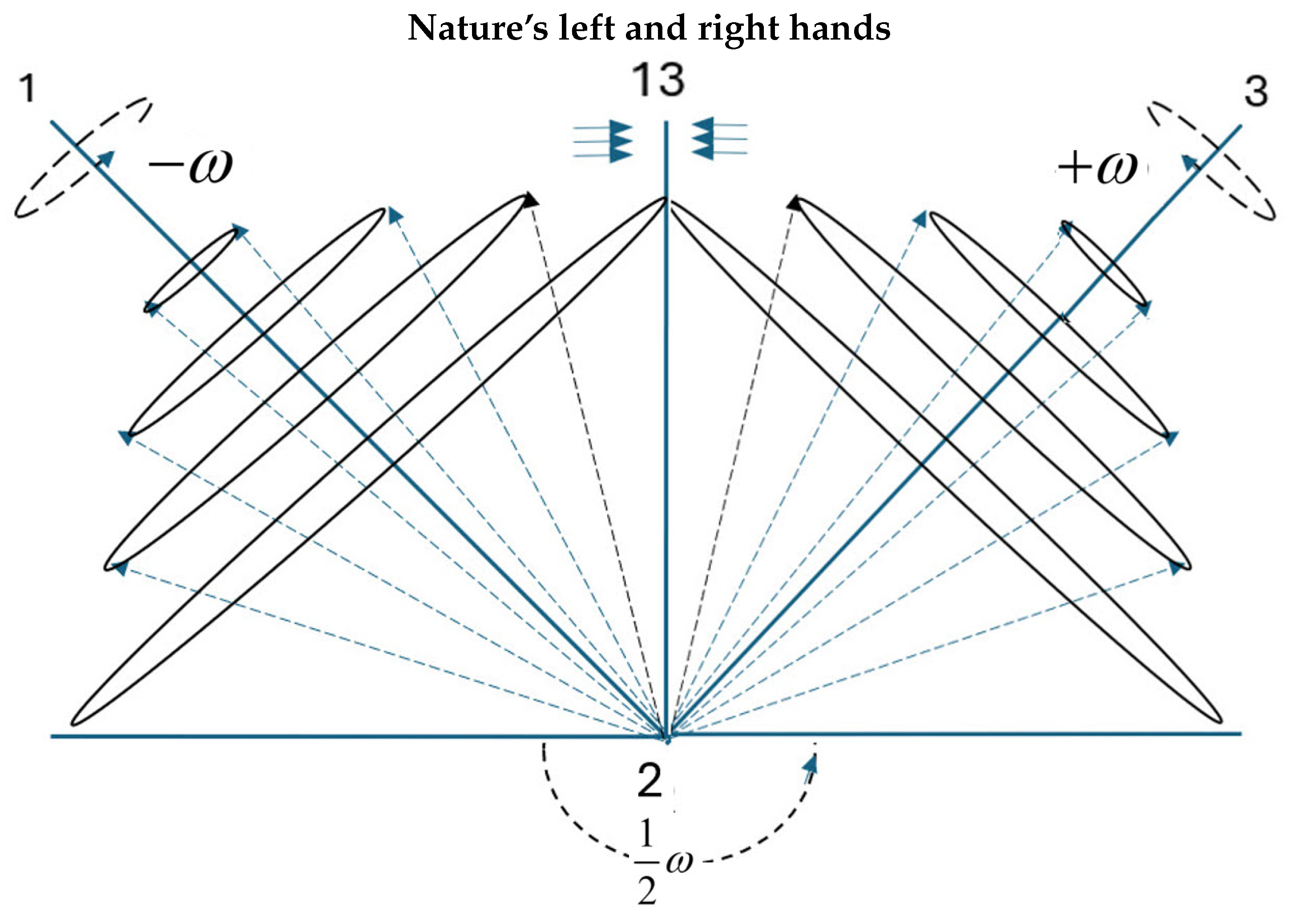 Preprints 144263 g003